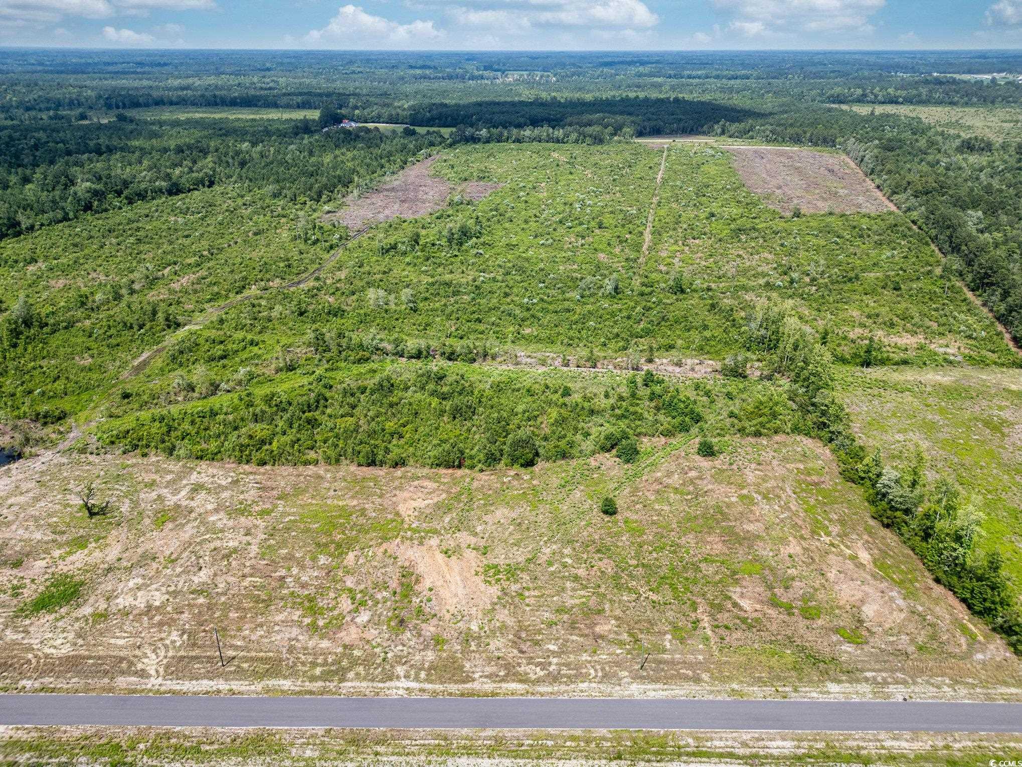 Lot 3 Myrtle Ridge Dr., Conway, South Carolina image 3