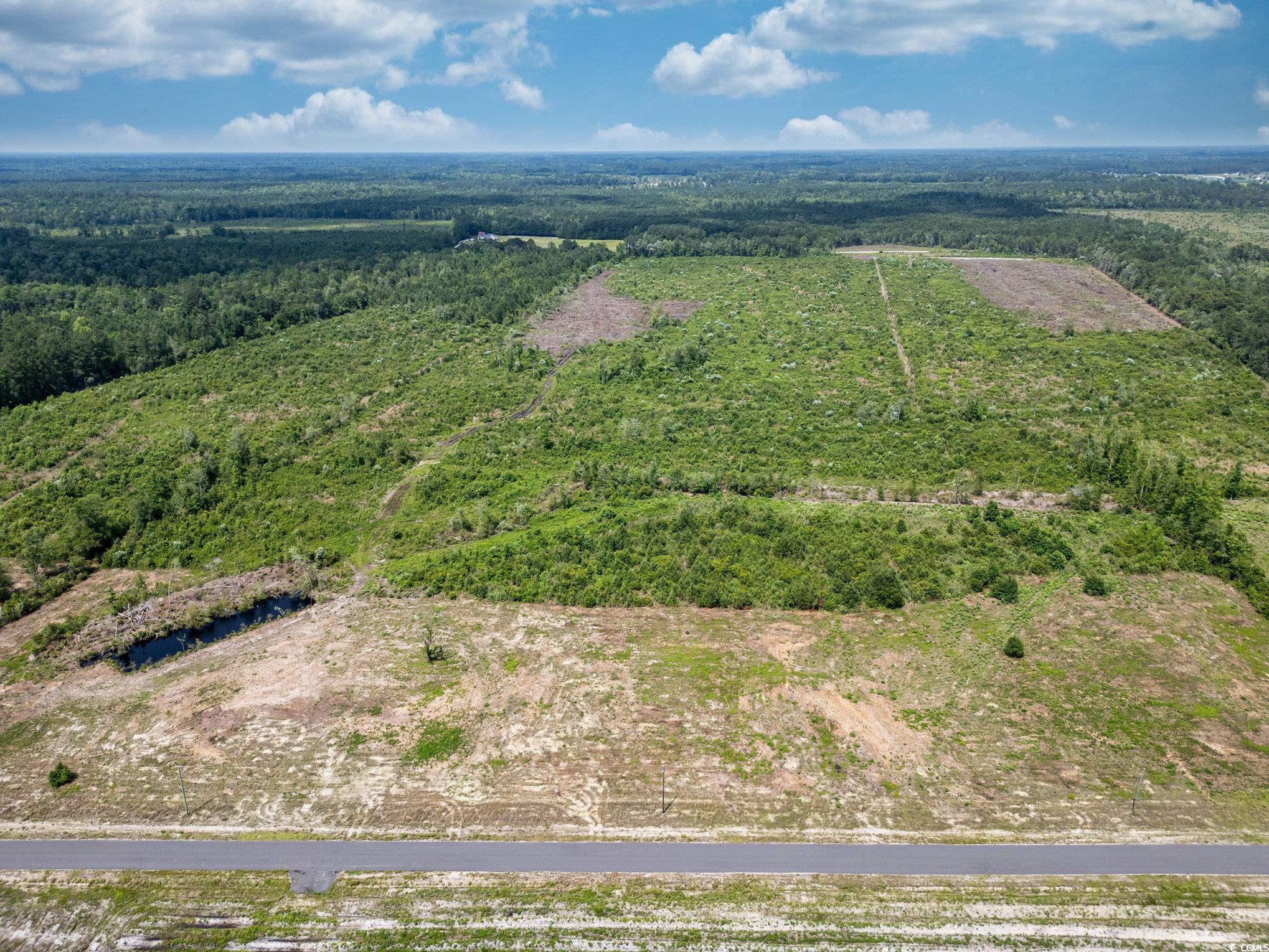 Lot 3 Myrtle Ridge Dr., Conway, South Carolina image 4