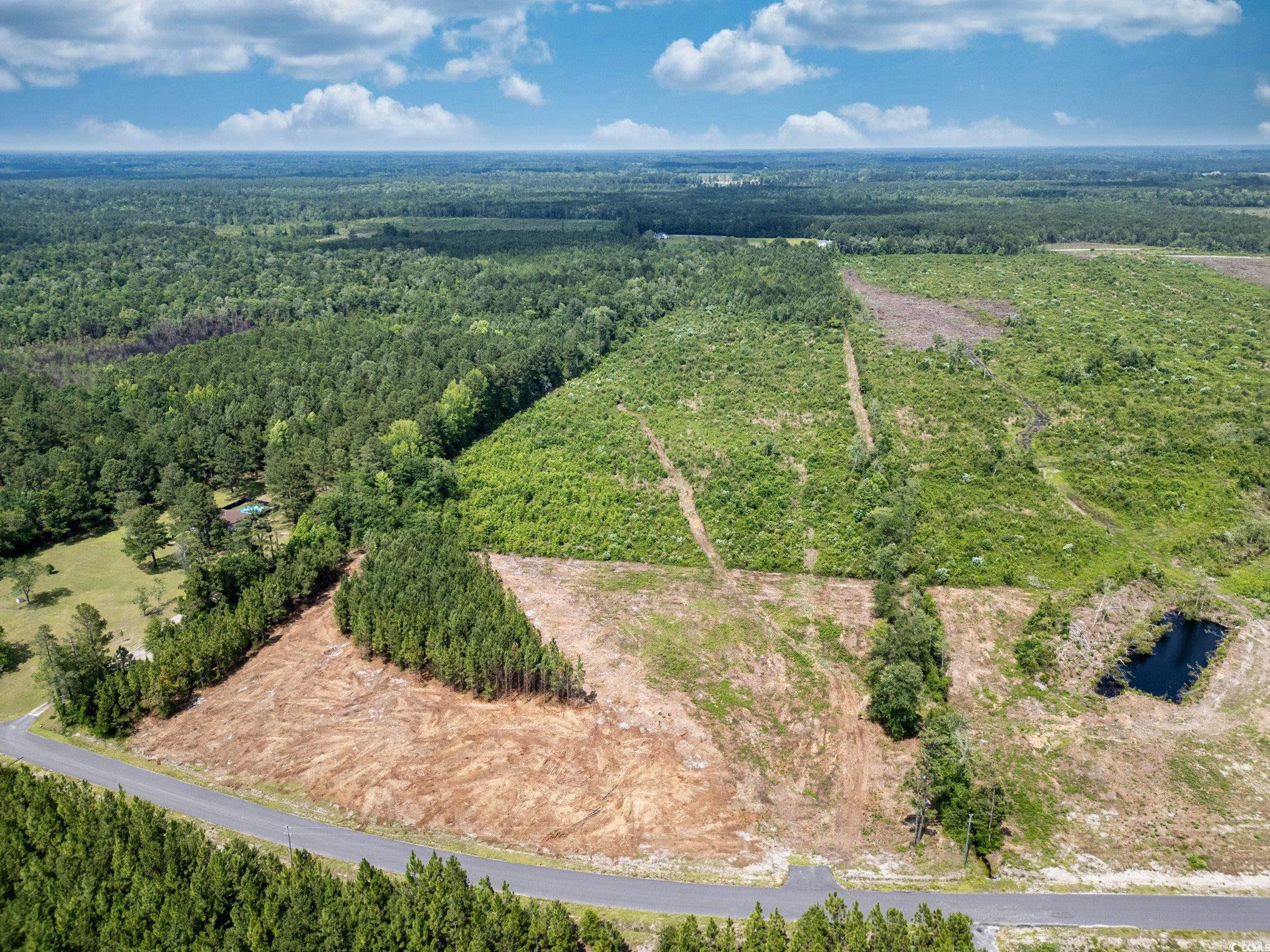 Lot 3 Myrtle Ridge Dr., Conway, South Carolina image 7