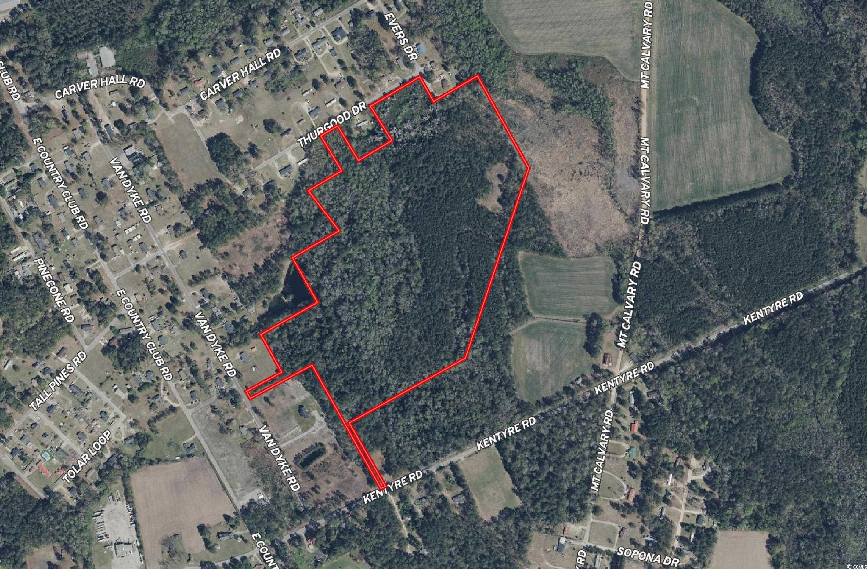 TBD Kentyre Rd. Hamer, SC 29547