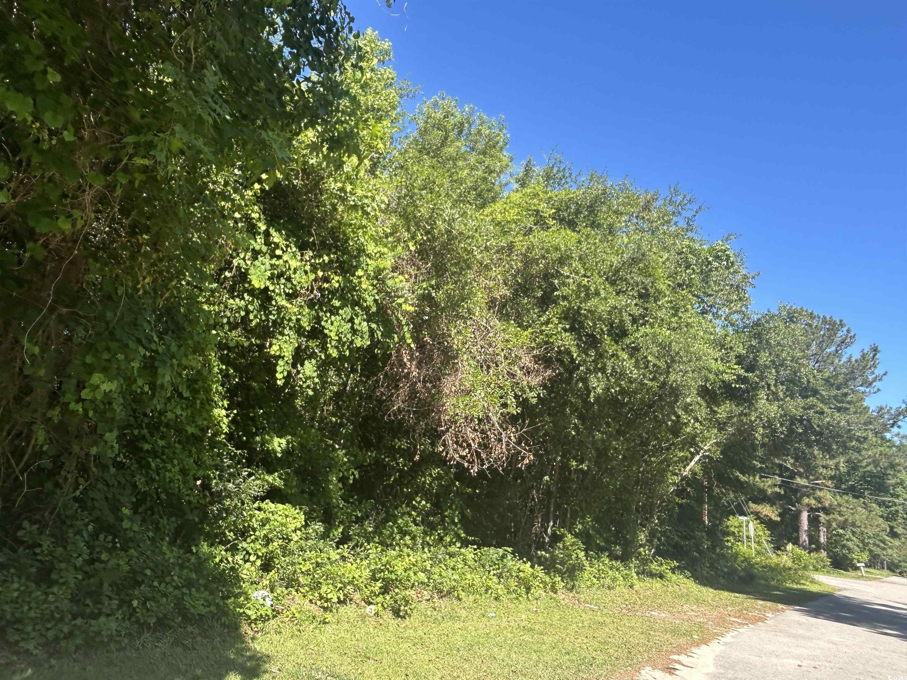 TBD Kentyre Rd., Hamer, South Carolina image 13