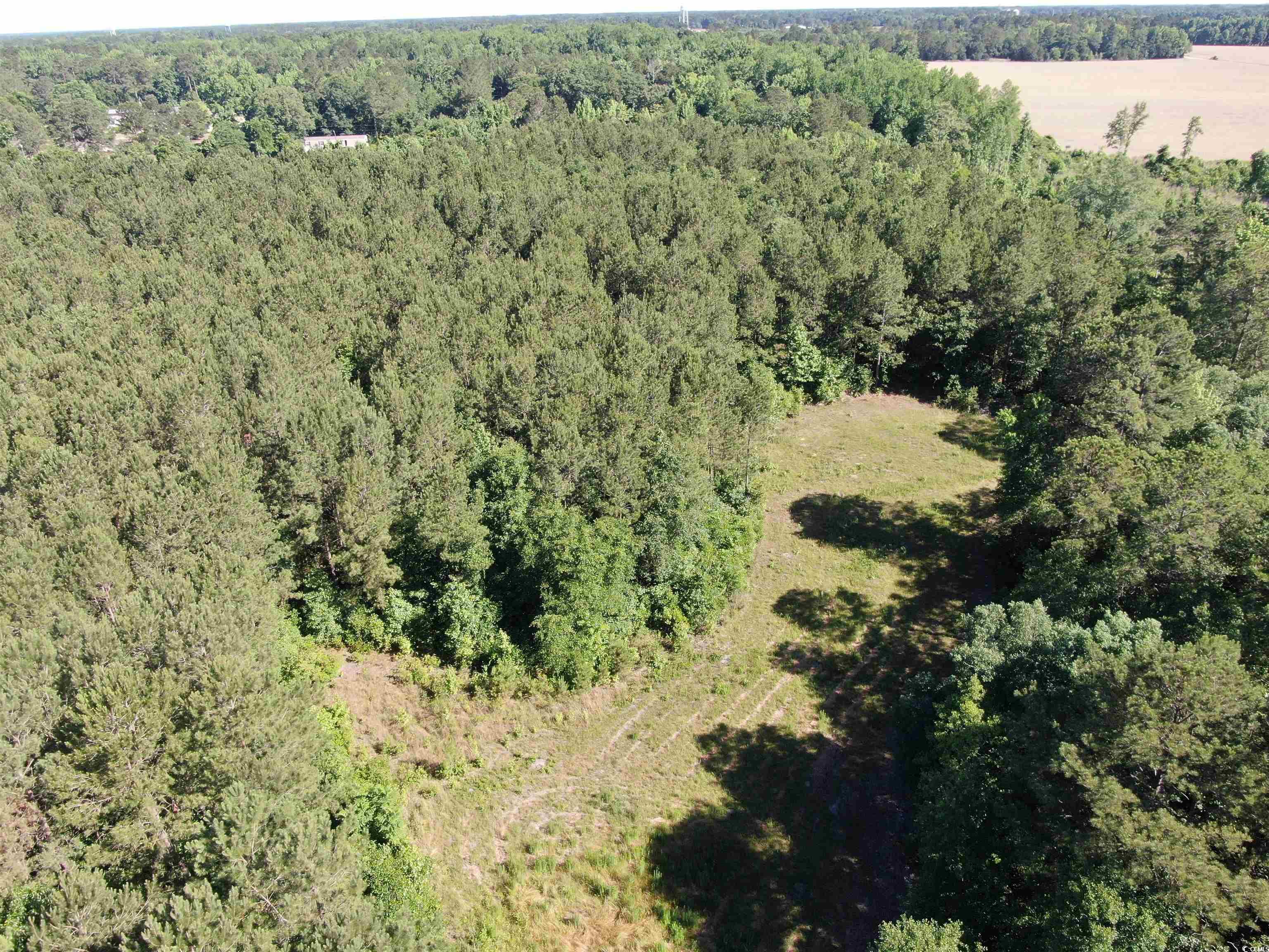 TBD Kentyre Rd., Hamer, South Carolina image 16