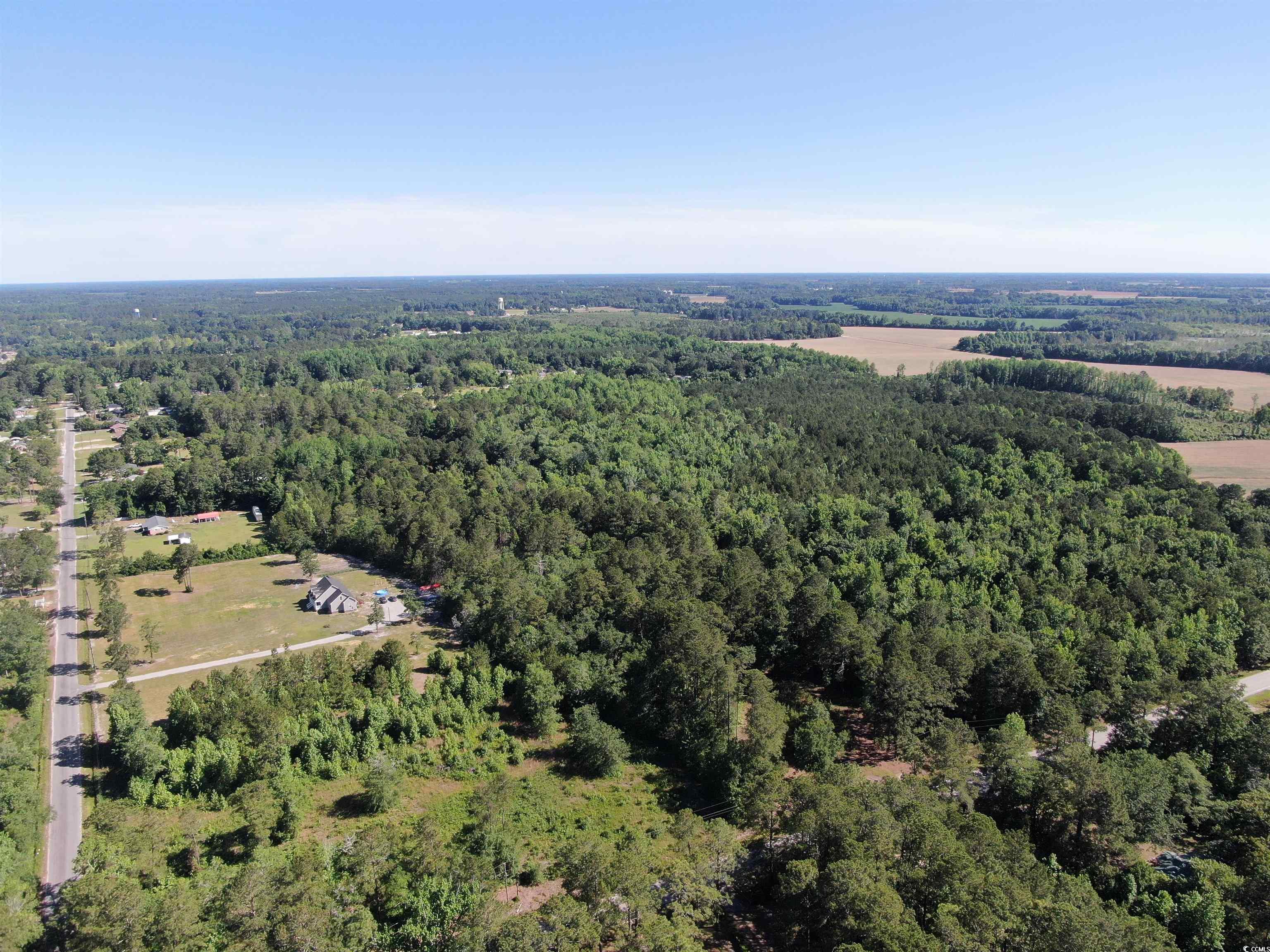 TBD Kentyre Rd., Hamer, South Carolina image 18