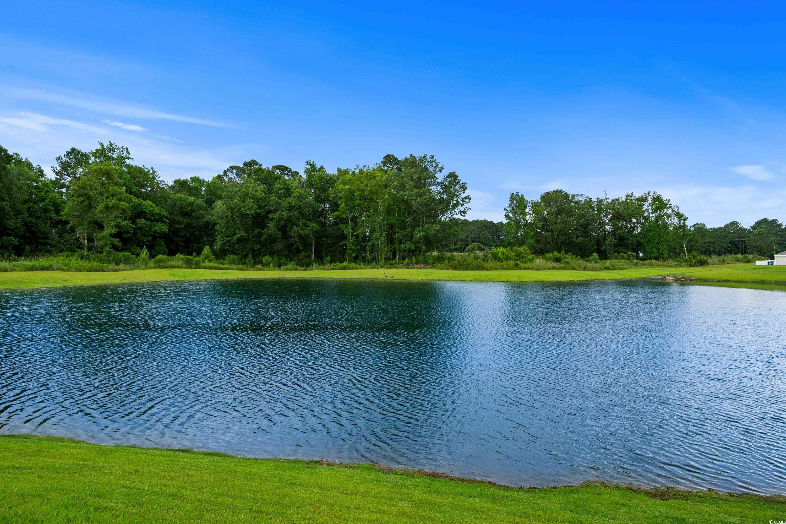 326 Picnic Basket Pl., Longs, South Carolina image 21
