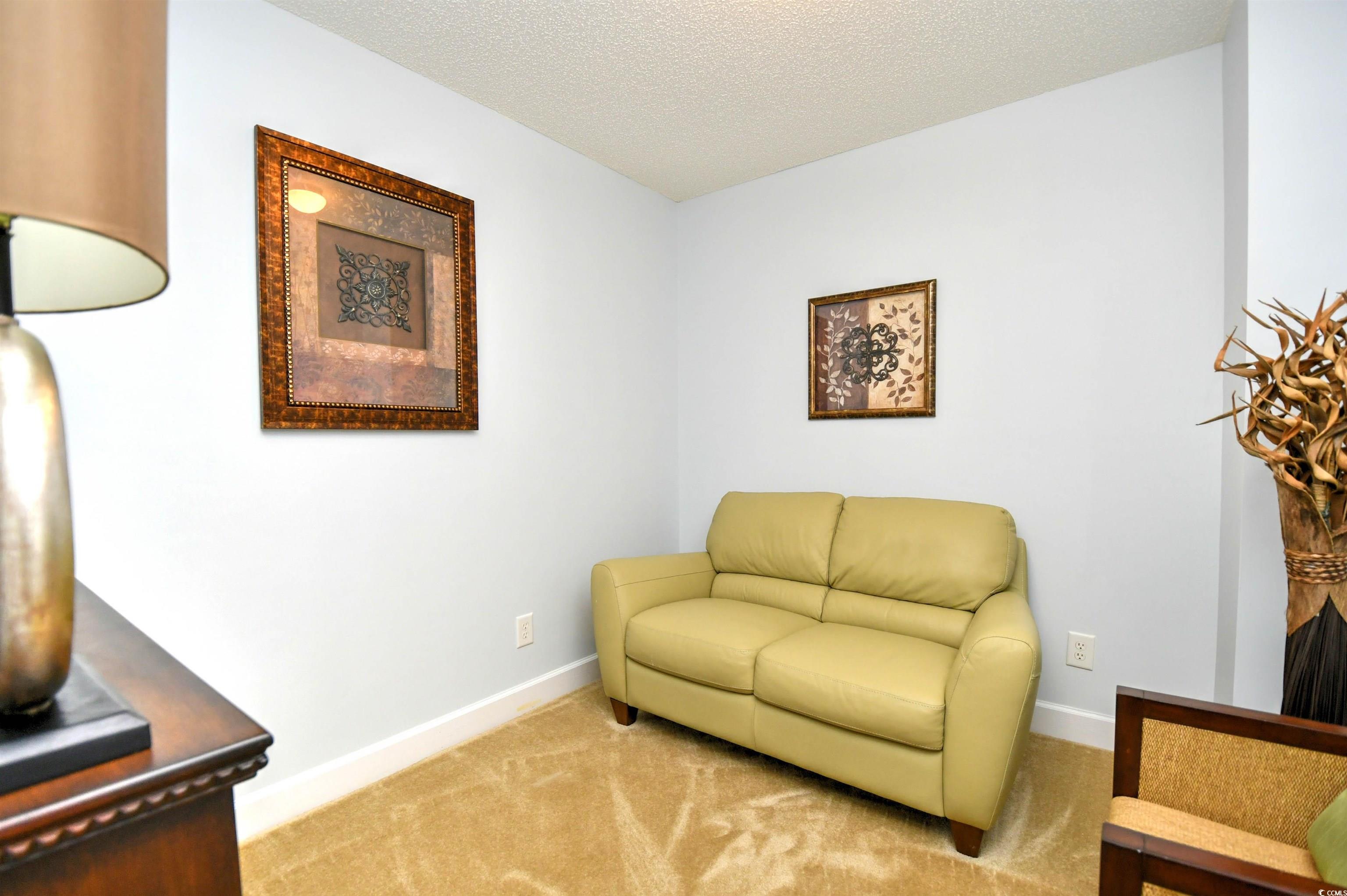6172 Catalina Dr. #113, North Myrtle Beach, South Carolina image 25