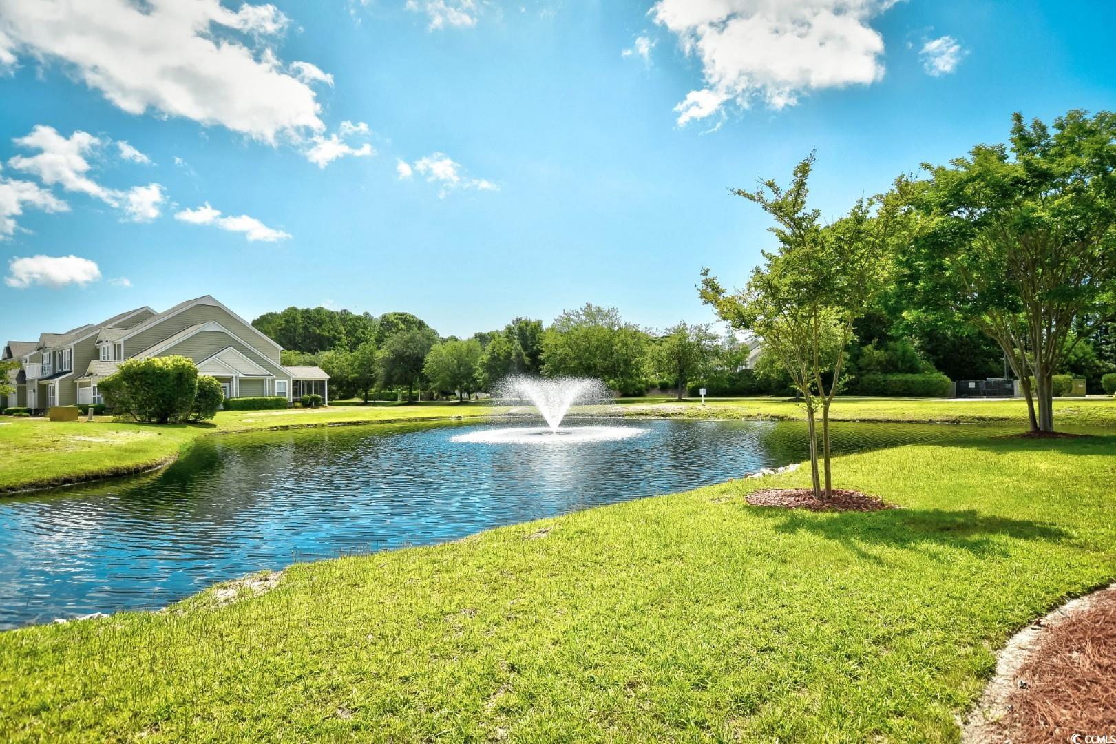 6172 Catalina Dr. #113, North Myrtle Beach, South Carolina image 31