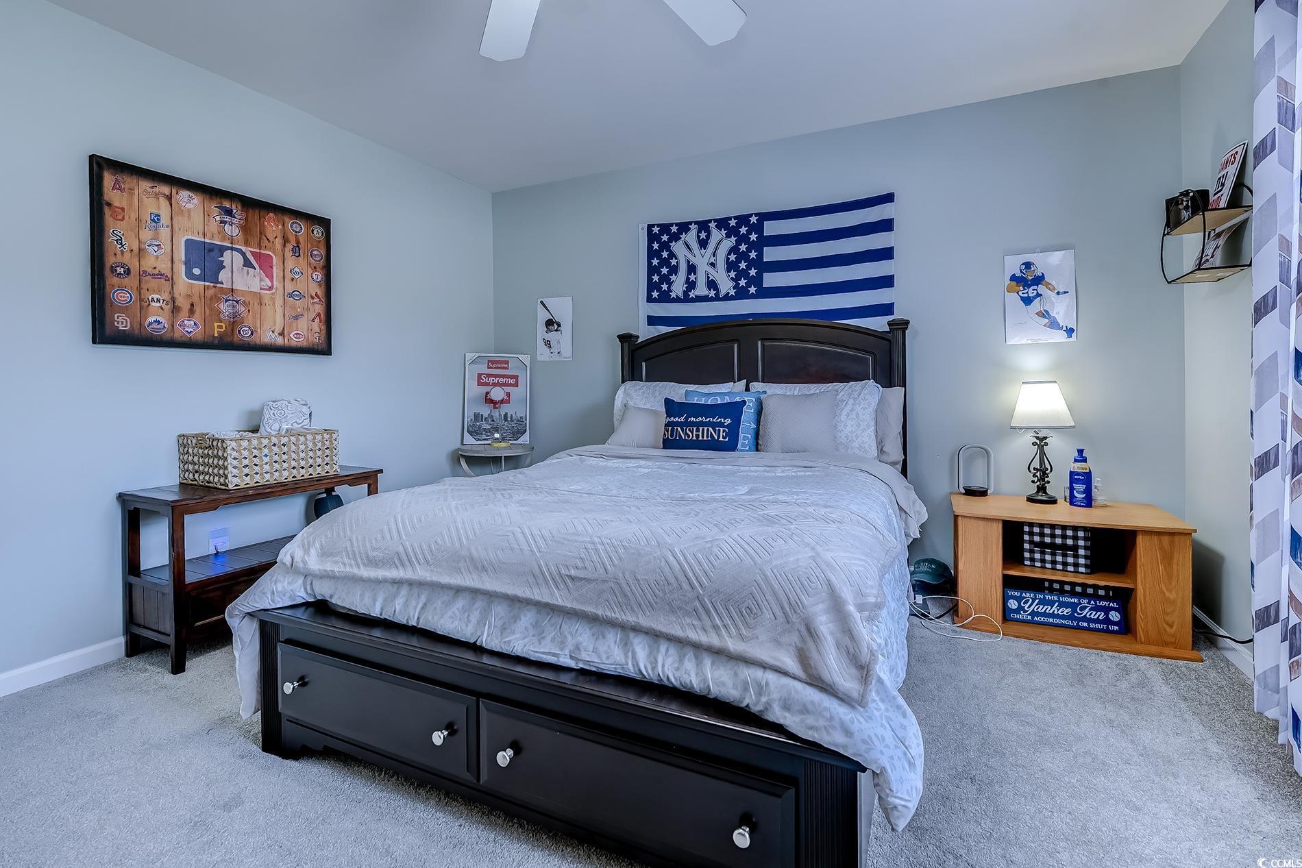 161 Barclay Dr. Lane, Myrtle Beach, Texas image 23