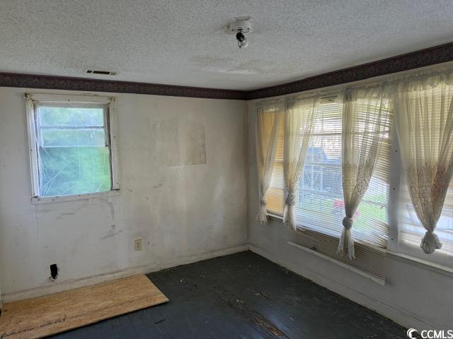 303 Leroy Bethea Rd, Mullins, South Carolina image 3