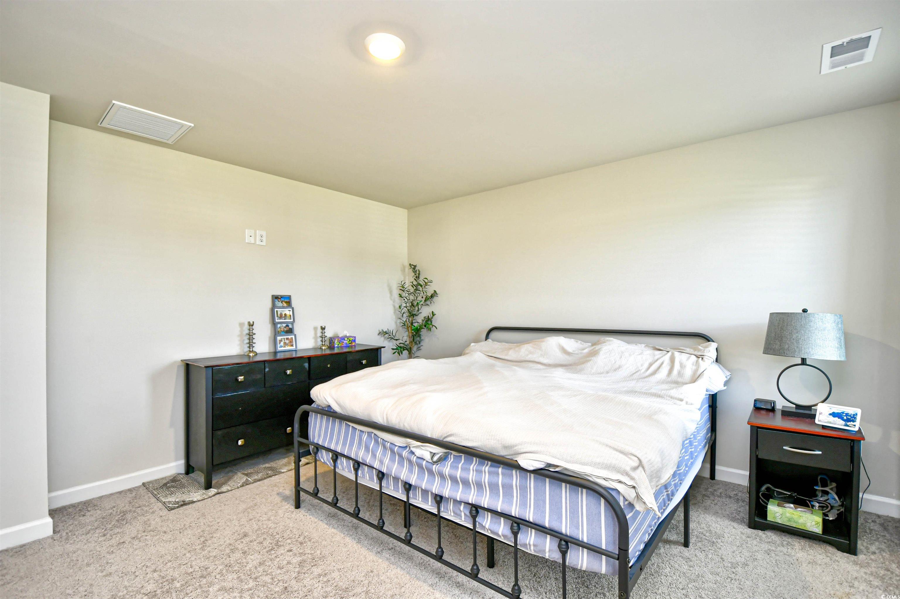 2325 Copper Creek Loop, Longs, South Carolina image 20