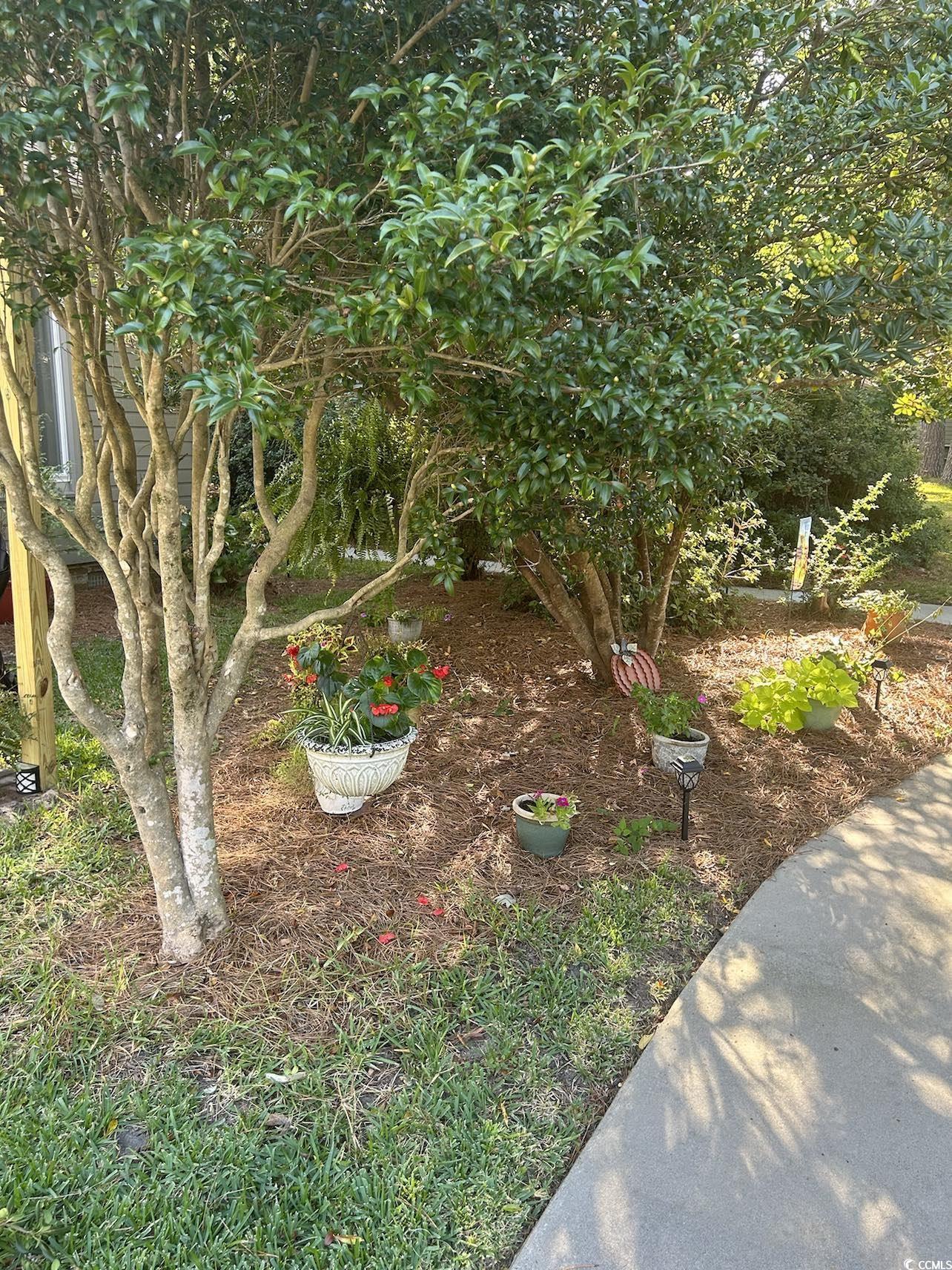 814 James Landing Ct., Murrells Inlet, South Carolina image 33