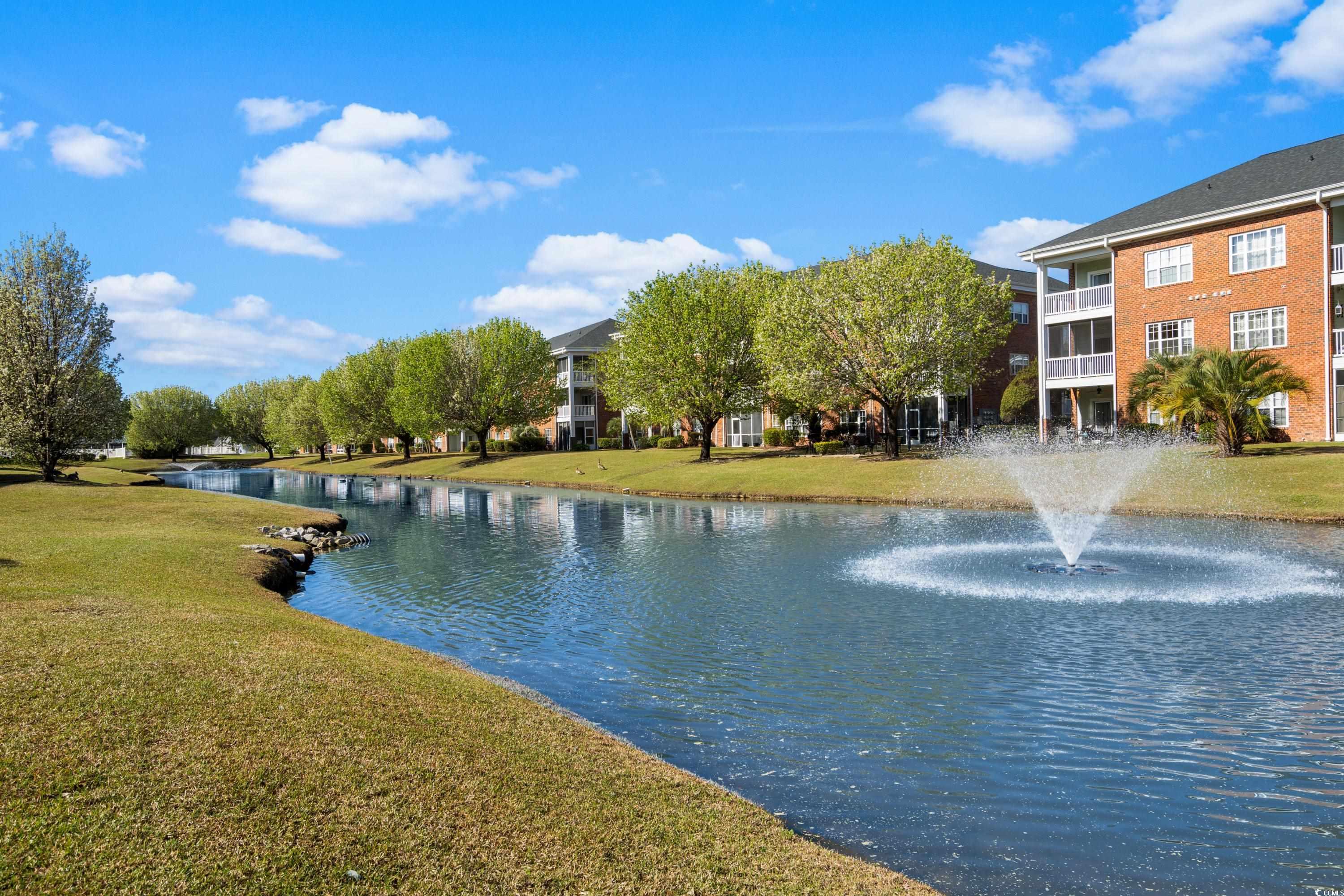 3927 Gladiola Ct. #101, Myrtle Beach, South Carolina image 19