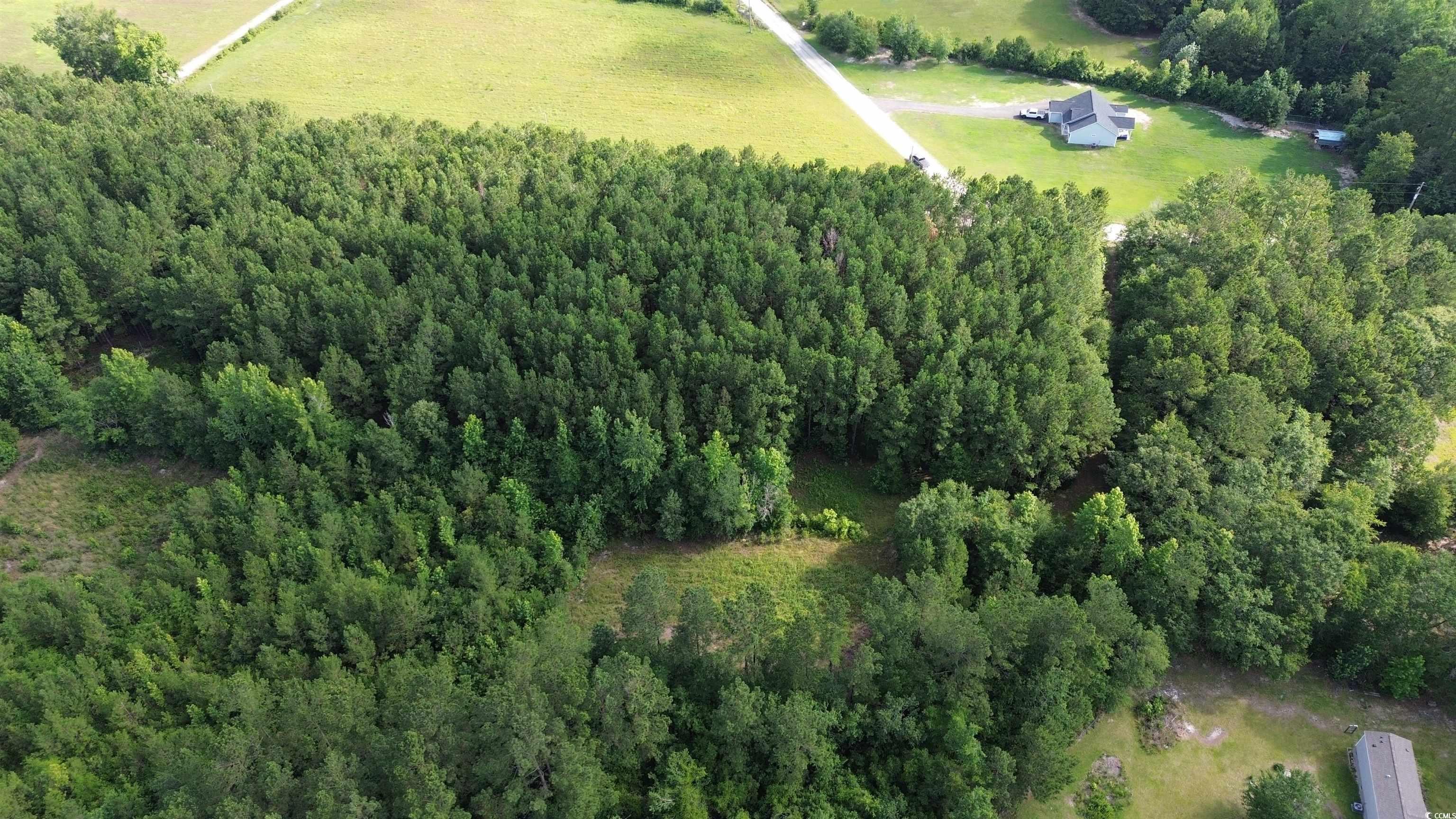1453 Carriage Dr., Loris, South Carolina image 5