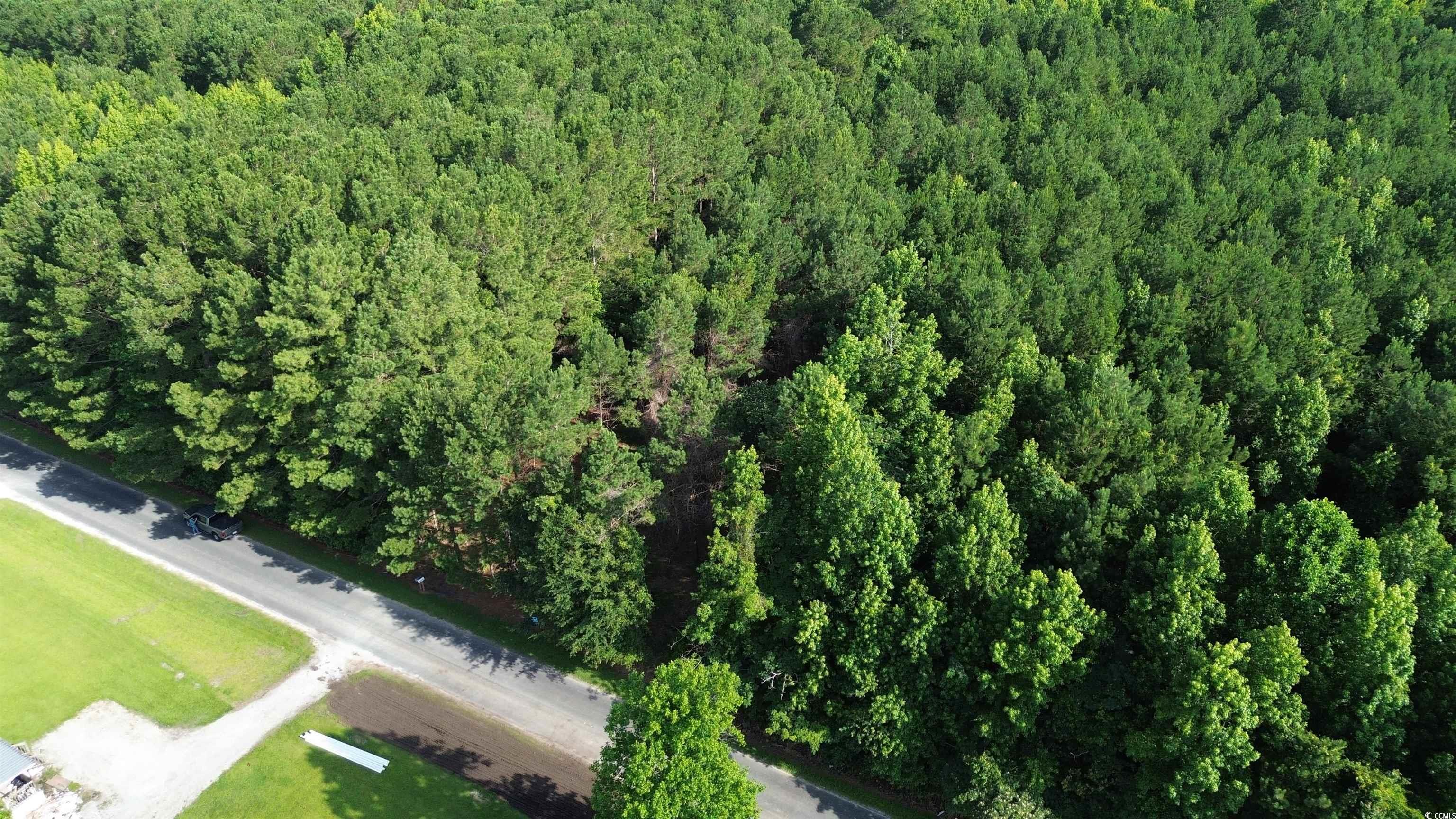 TBD Highway 762 Loris, SC 29569