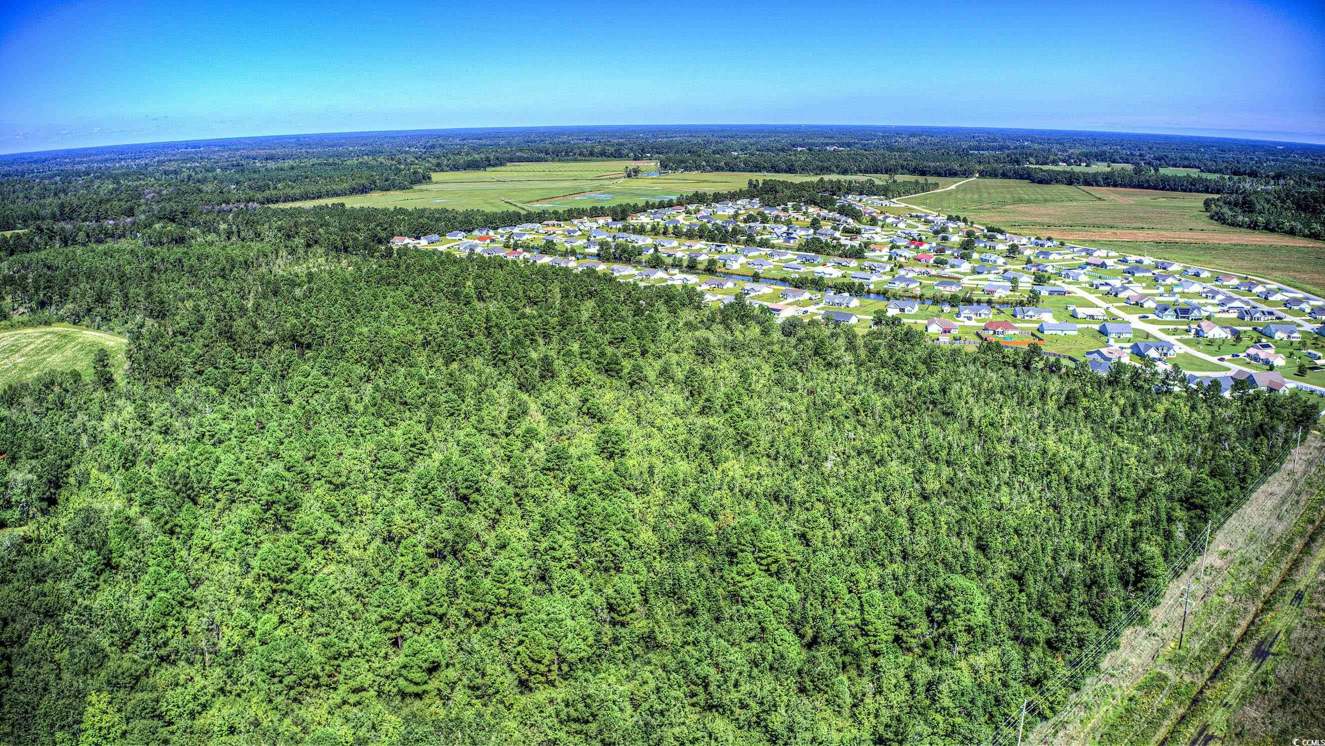 TBD Apple Valley Rd., Loris, South Carolina image 1