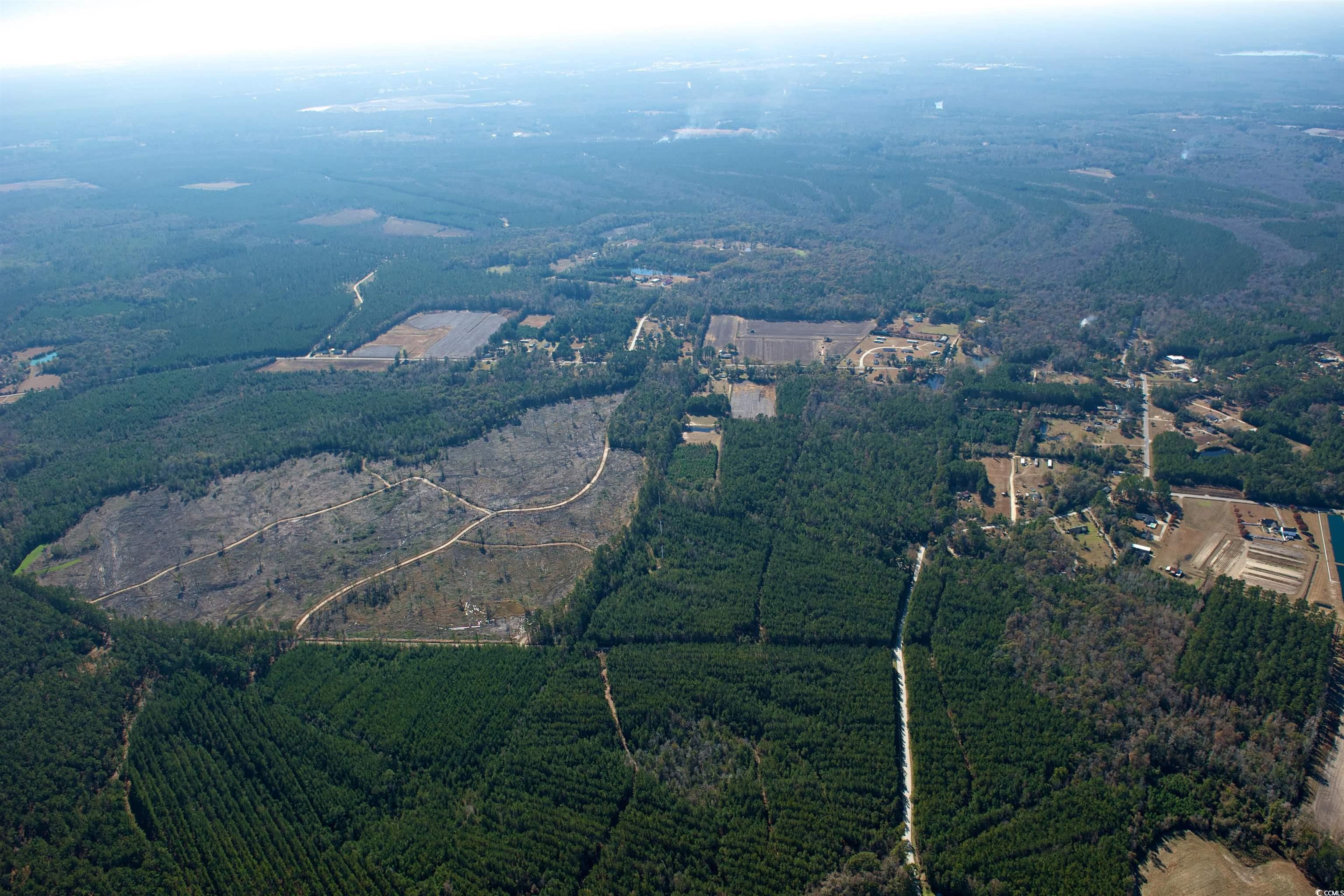 TBD Grahamville Rd., Conway, South Carolina image 4