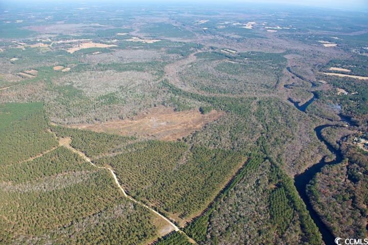 TBD Grahamville Rd., Conway, South Carolina image 5