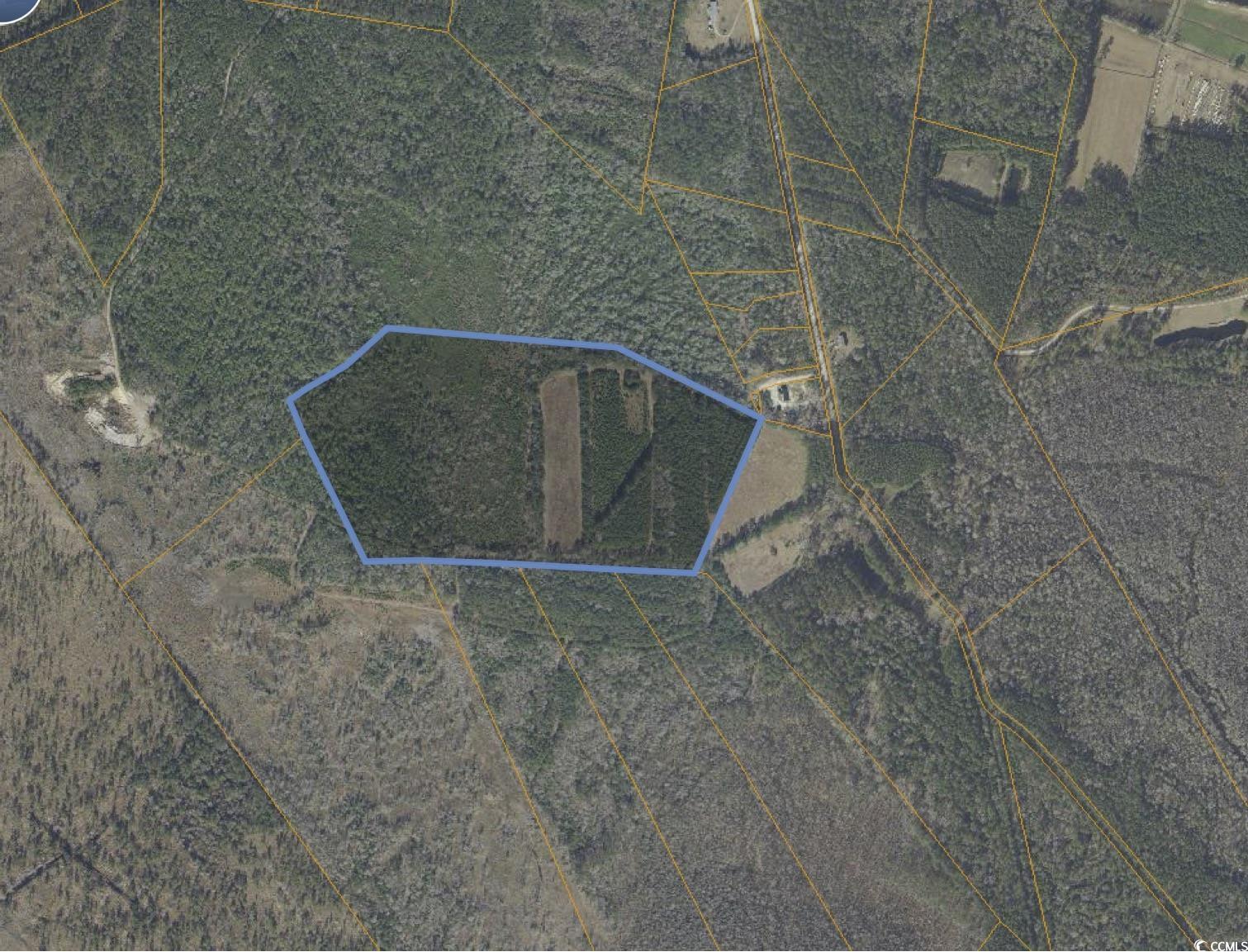 TBD Grahamville Rd., Conway, South Carolina image 6