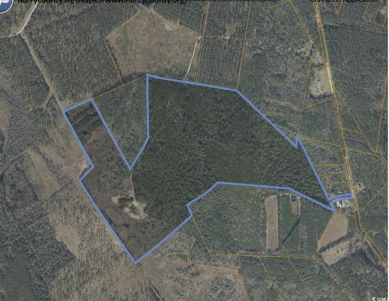 TBD Grahamville Rd., Conway, South Carolina image 9