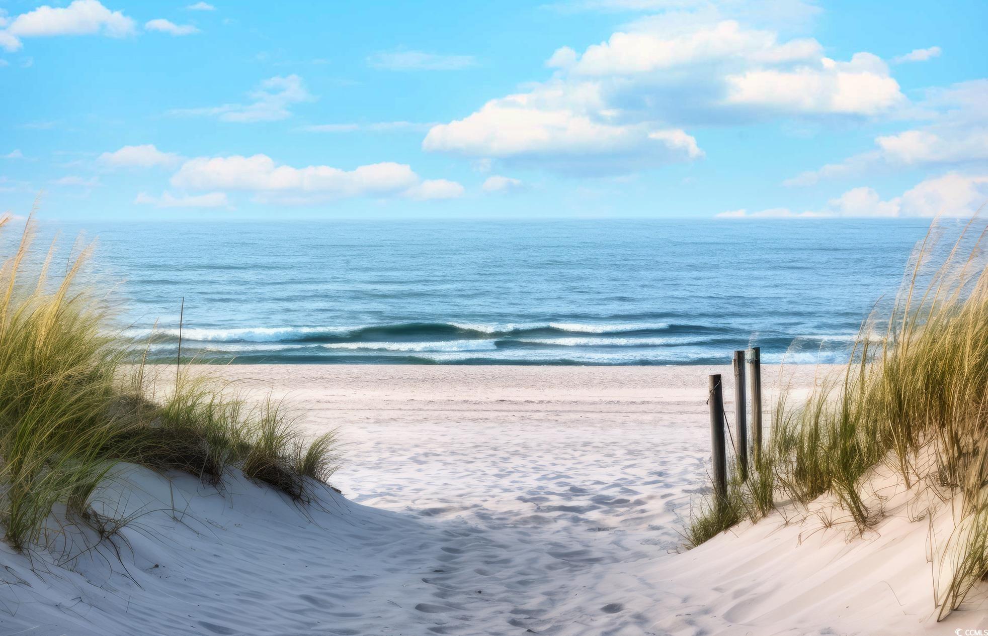 110 South Shore Blvd. #203, Longs, South Carolina image 37