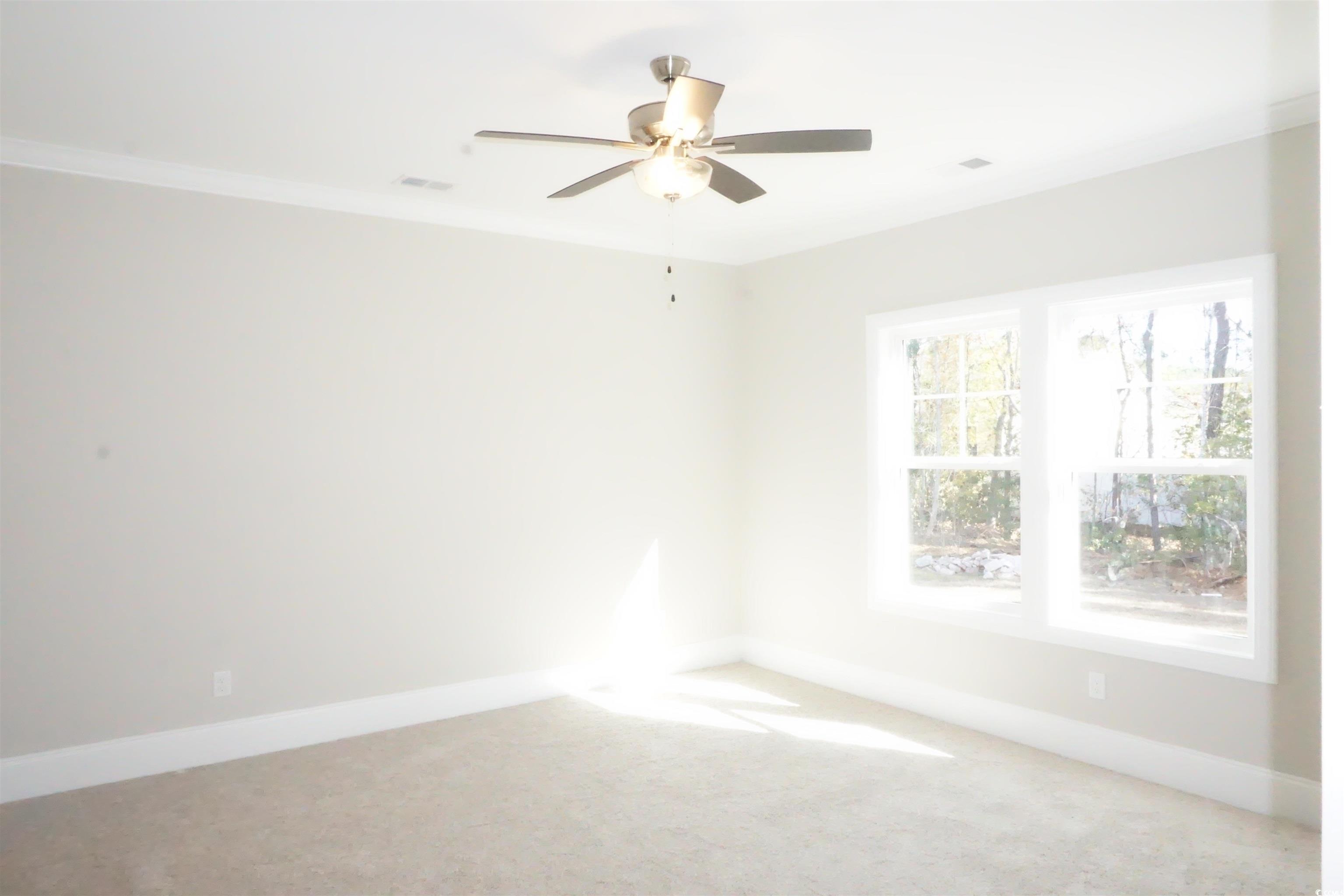 3137 Tiger Tail Rd., Conway, South Carolina image 13