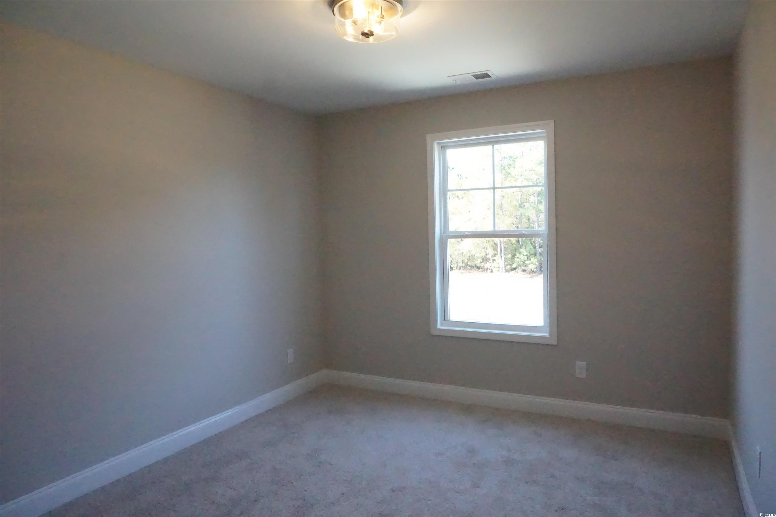 3137 Tiger Tail Rd., Conway, South Carolina image 15