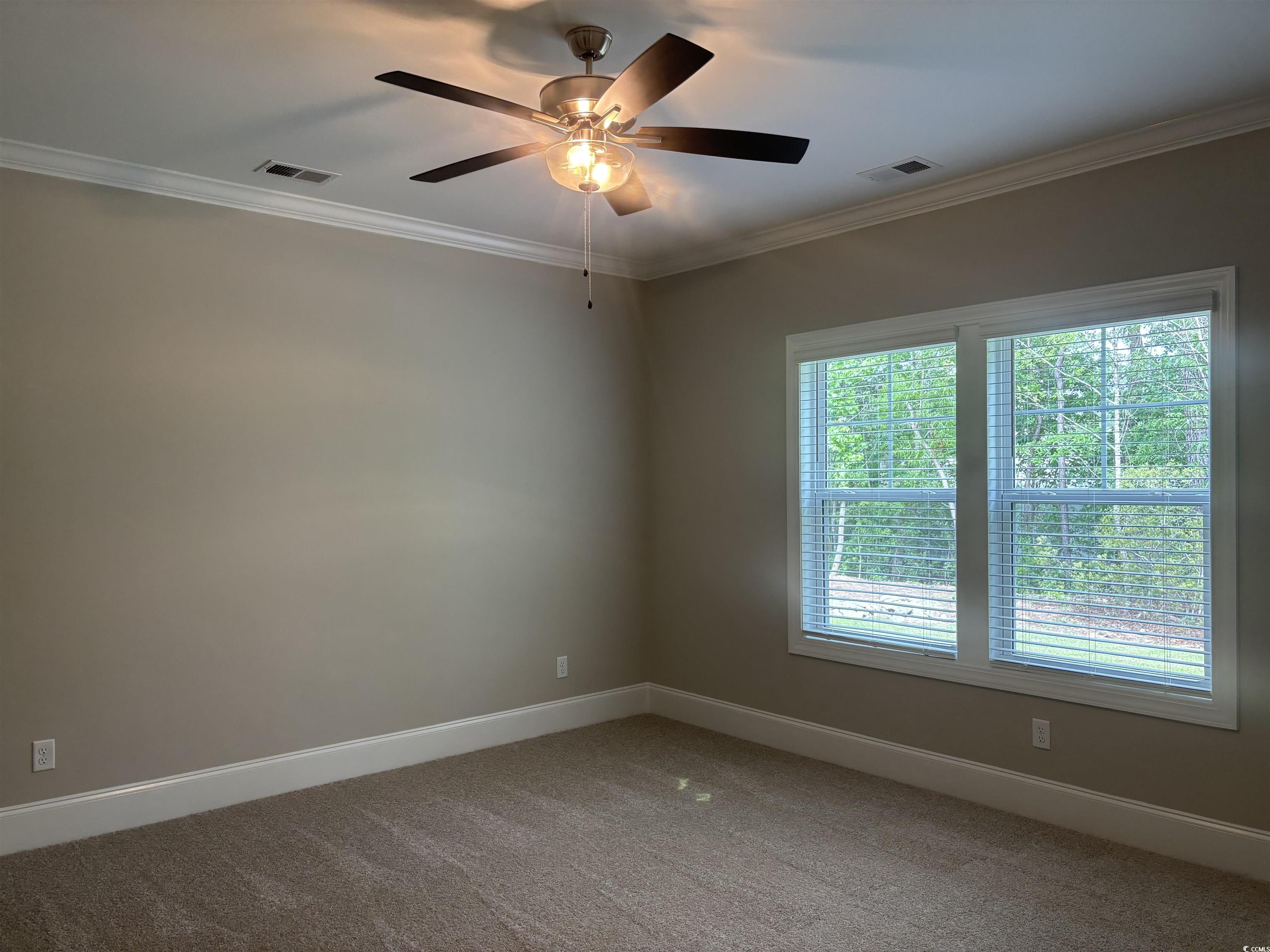3137 Tiger Tail Rd., Conway, South Carolina image 17