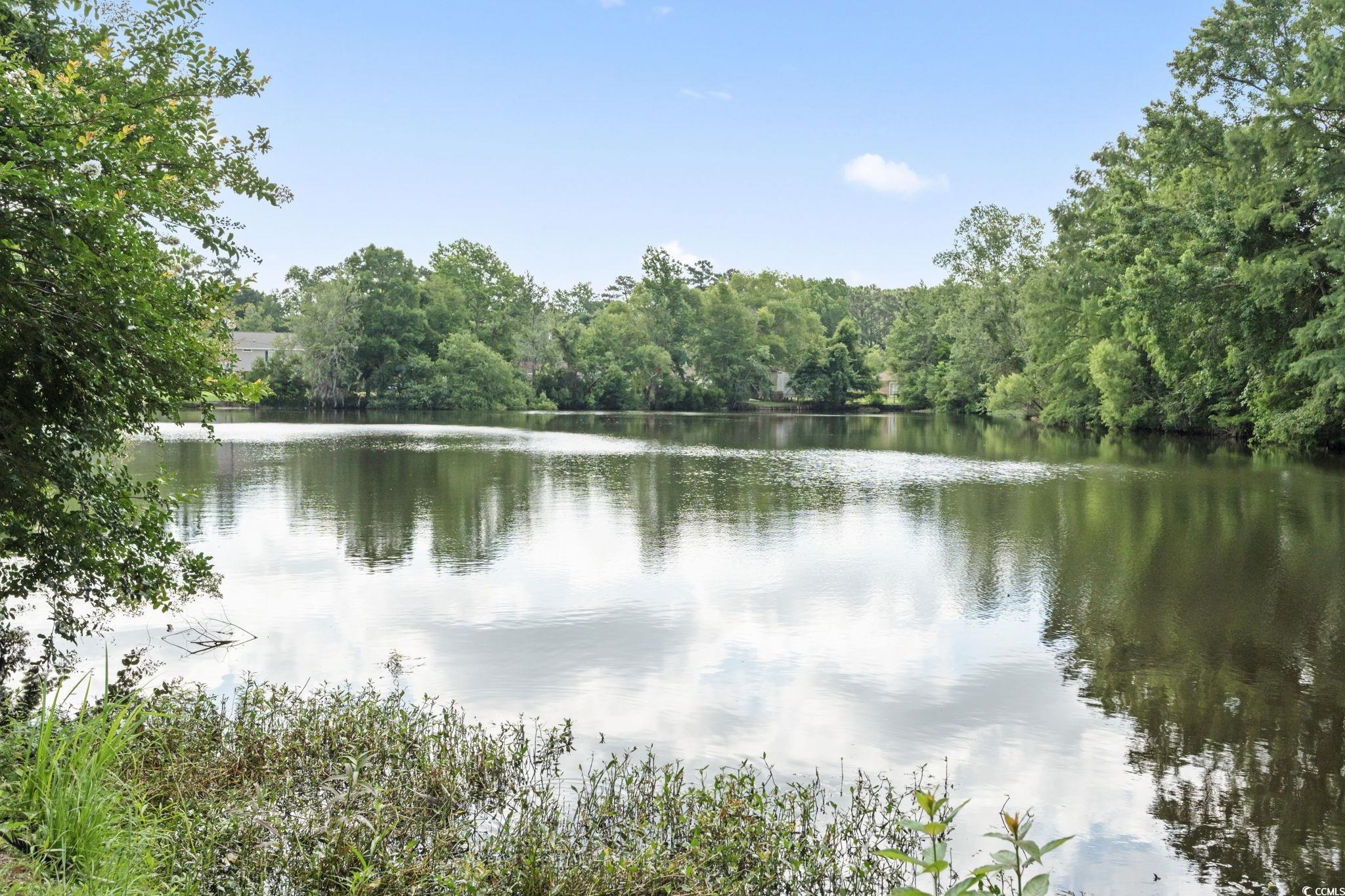 5867 Rosewood Dr., Myrtle Beach, South Carolina image 34