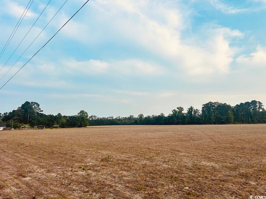 Highway 9, Nichols, South Carolina image 1