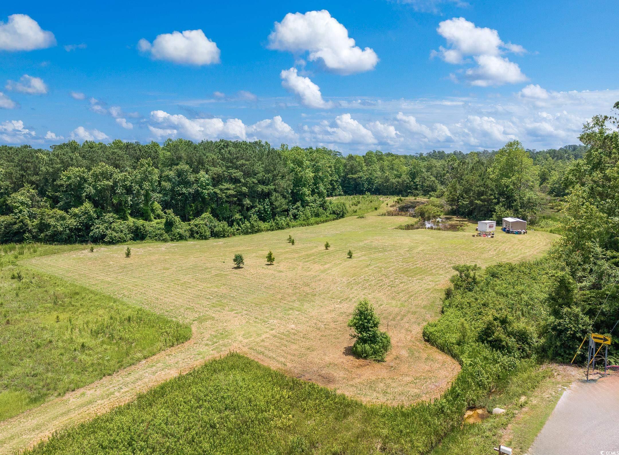 214 Allsbrook Rd., Loris, South Carolina image 16