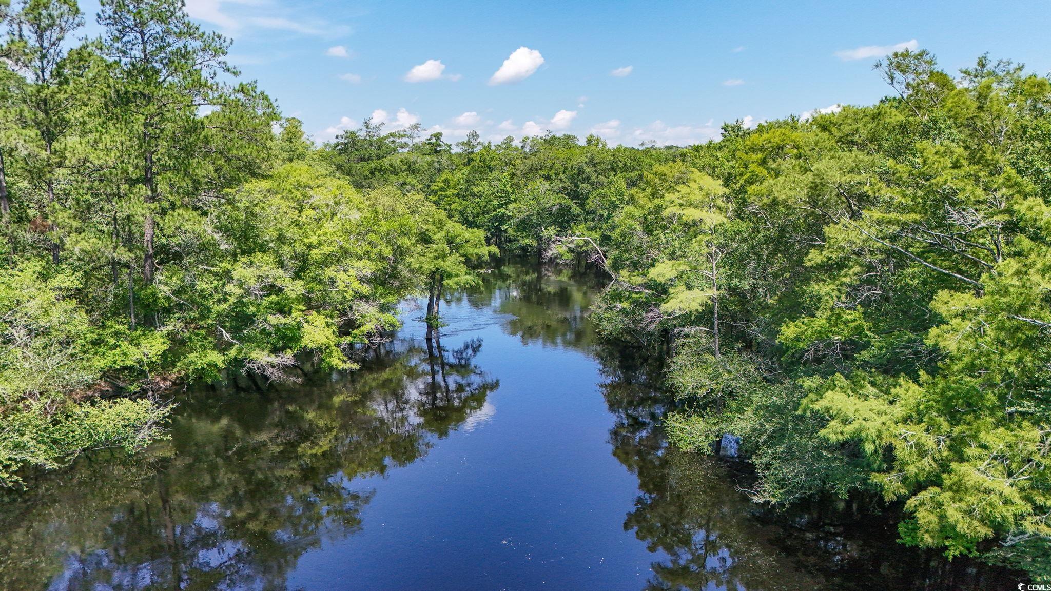 2879 Waccamaw Cove, Longs, South Carolina image 29