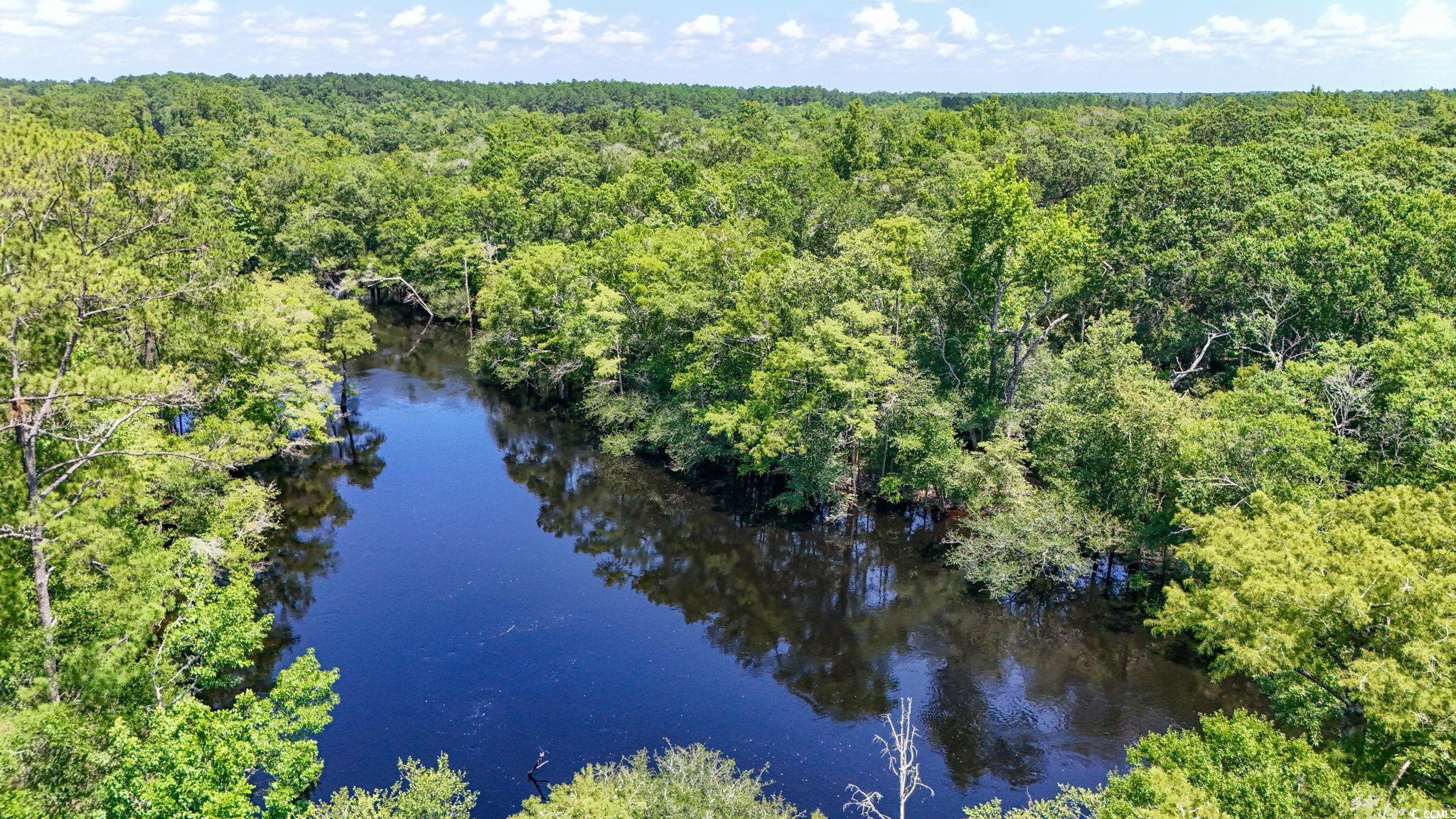 2879 Waccamaw Cove, Longs, South Carolina image 33