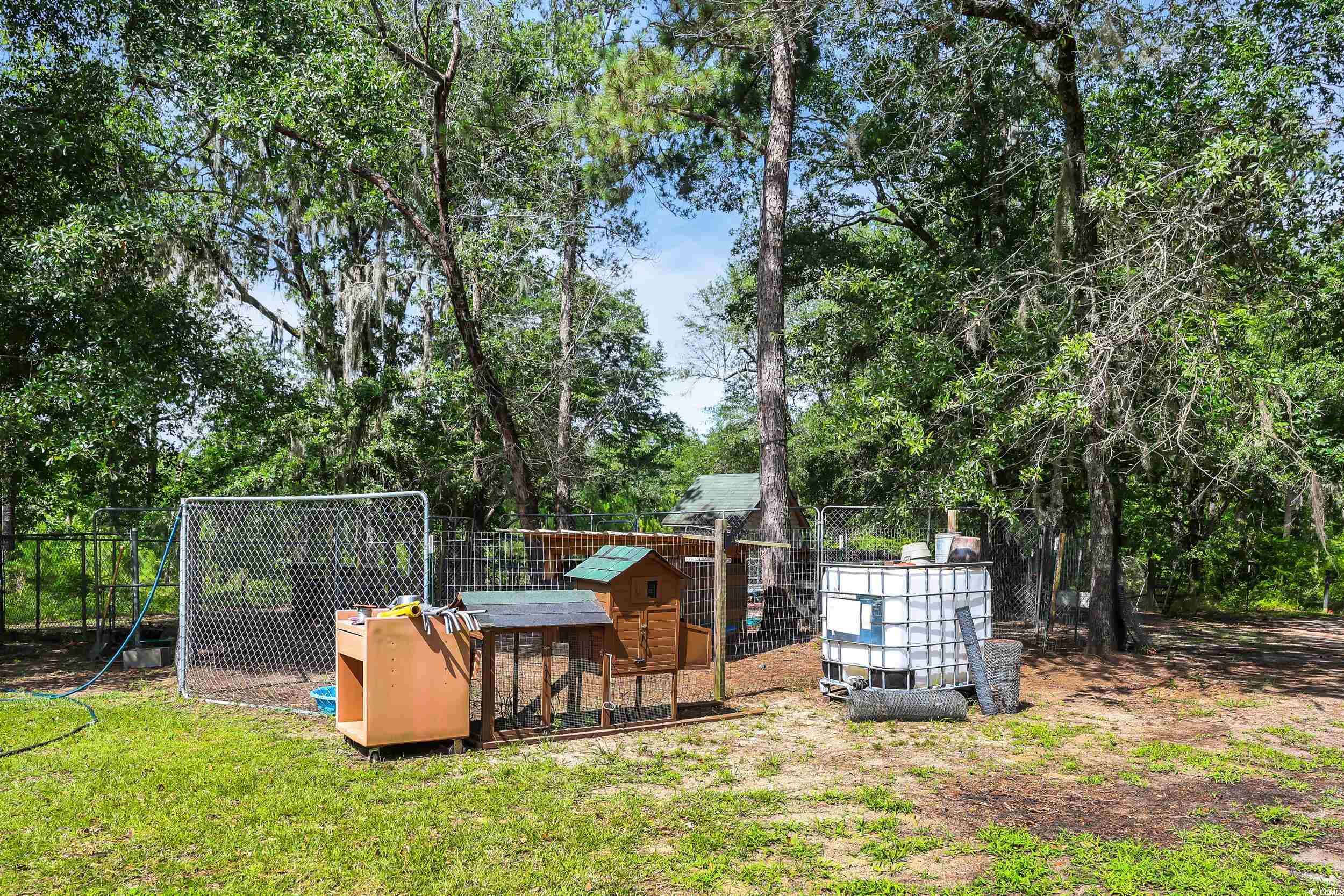 10381 Hardwick Rd., Nichols, South Carolina image 11