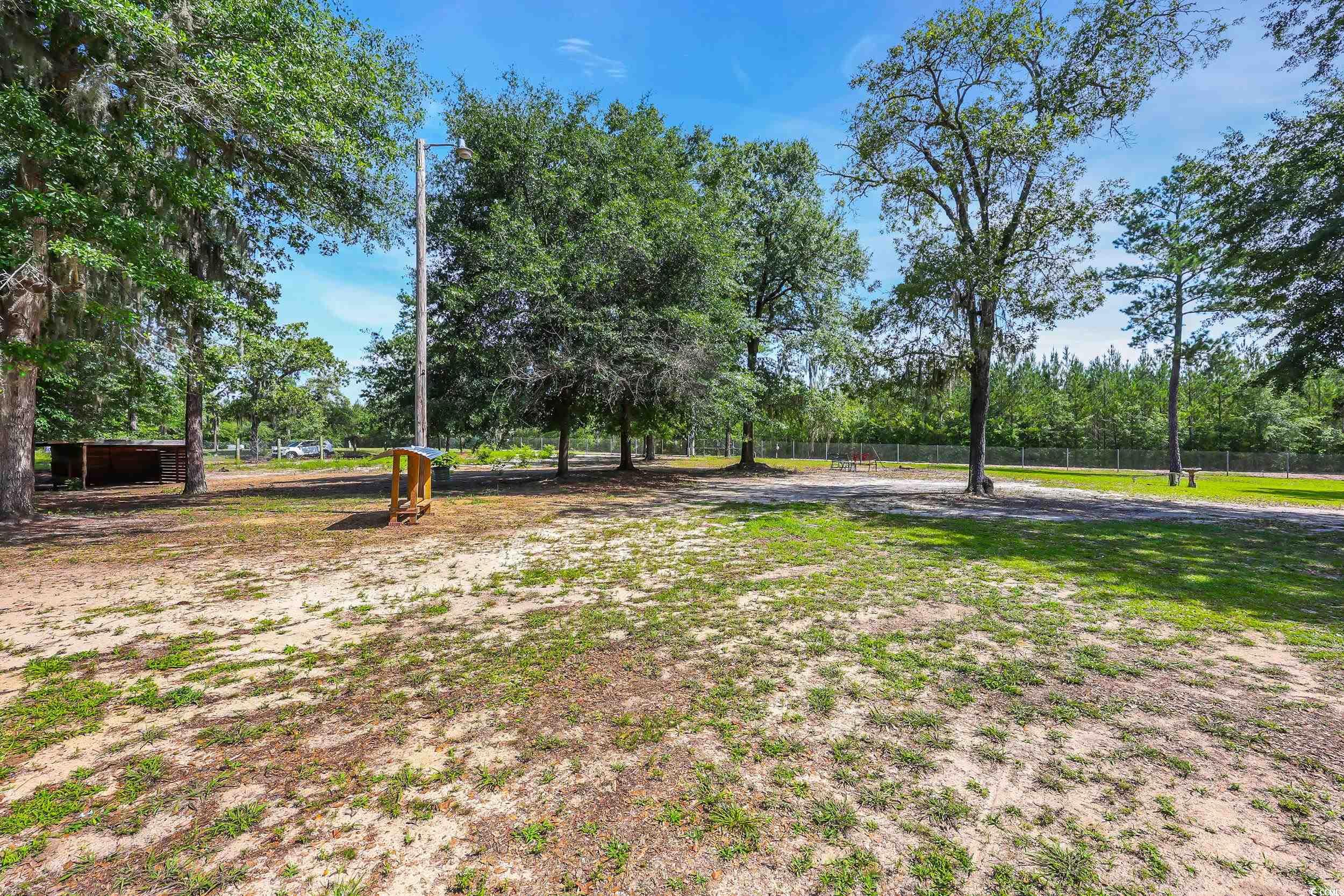 10381 Hardwick Rd., Nichols, South Carolina image 12