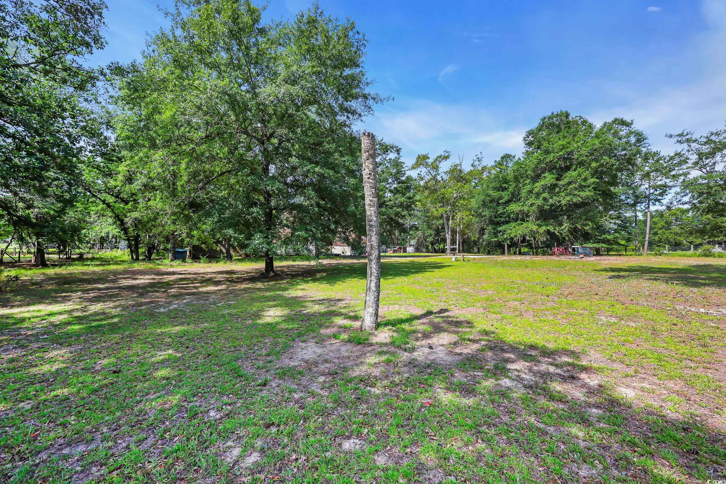 10381 Hardwick Rd., Nichols, South Carolina image 15