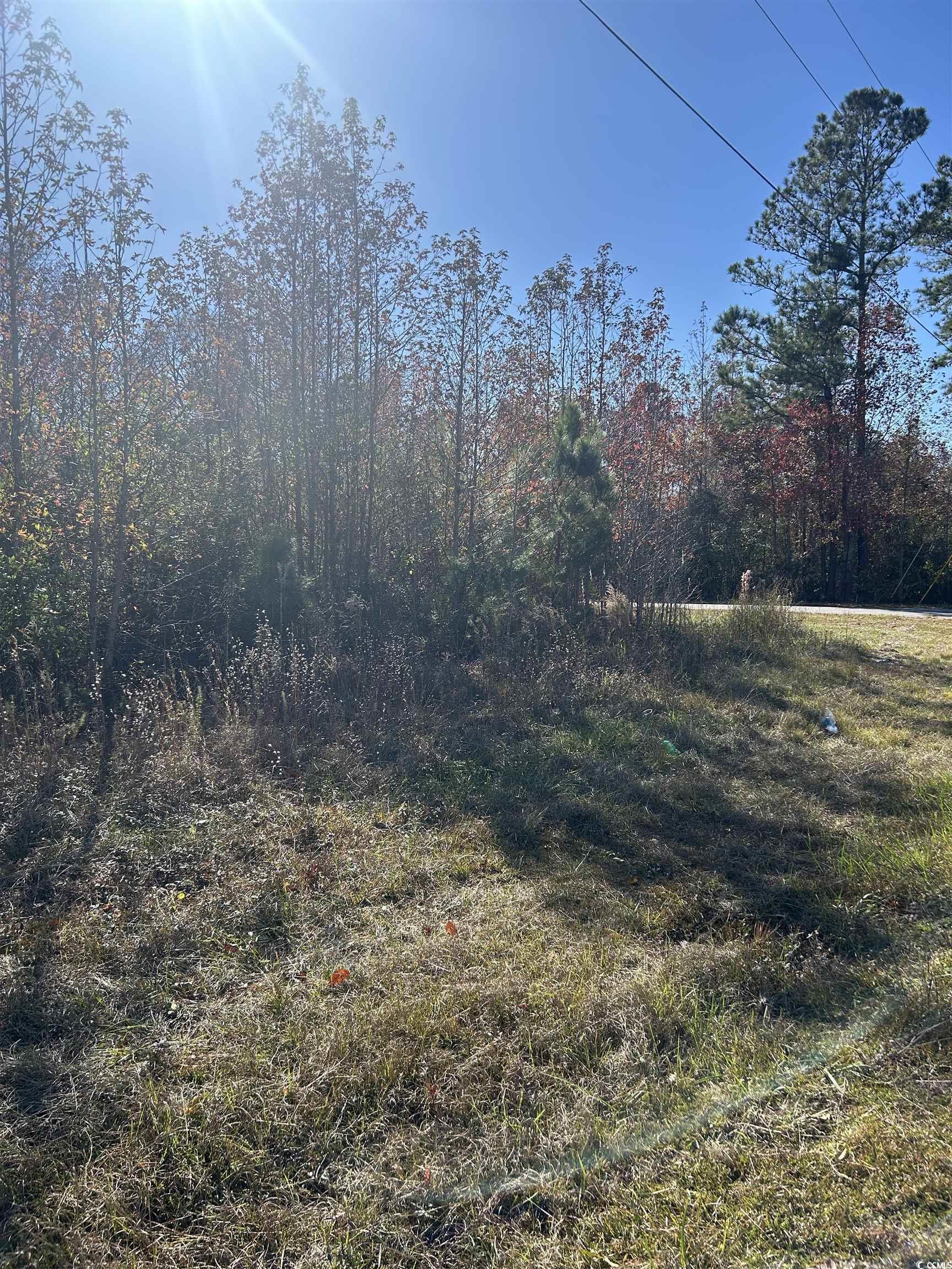 TBD Apple Valley Rd., Loris, South Carolina image 1