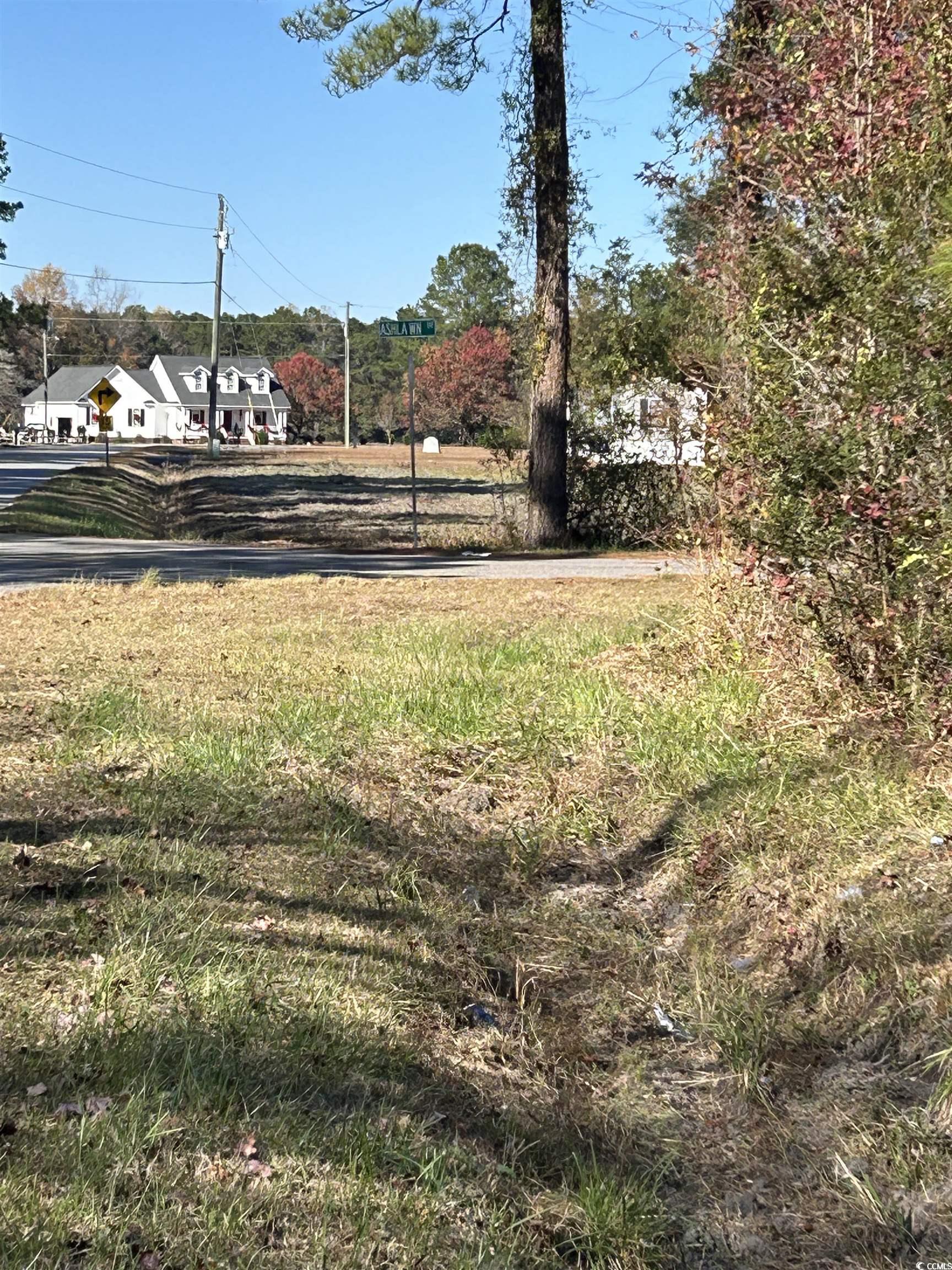 TBD Apple Valley Rd., Loris, South Carolina image 4
