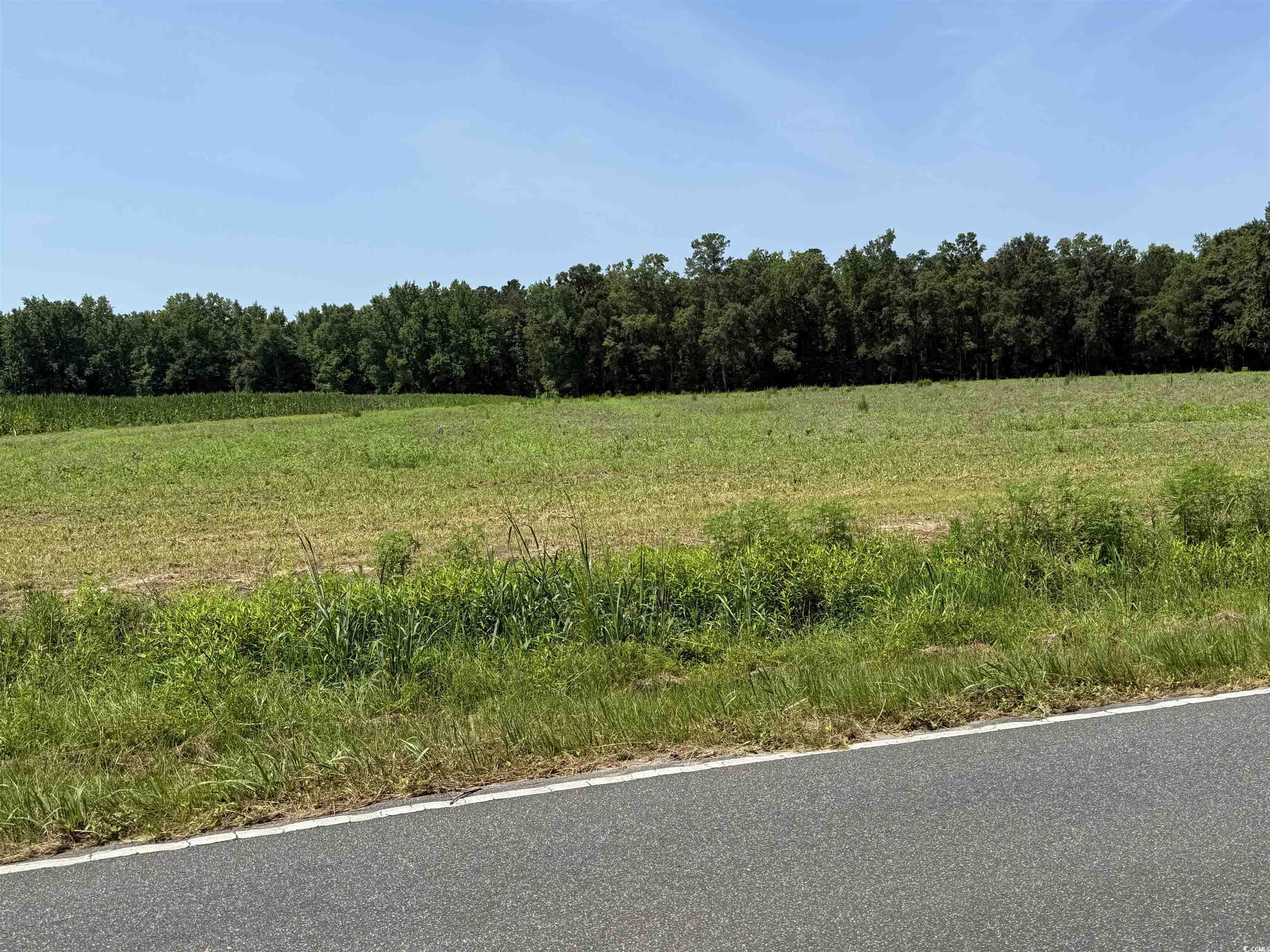 TBD Highway 668, Conway, South Carolina image 2