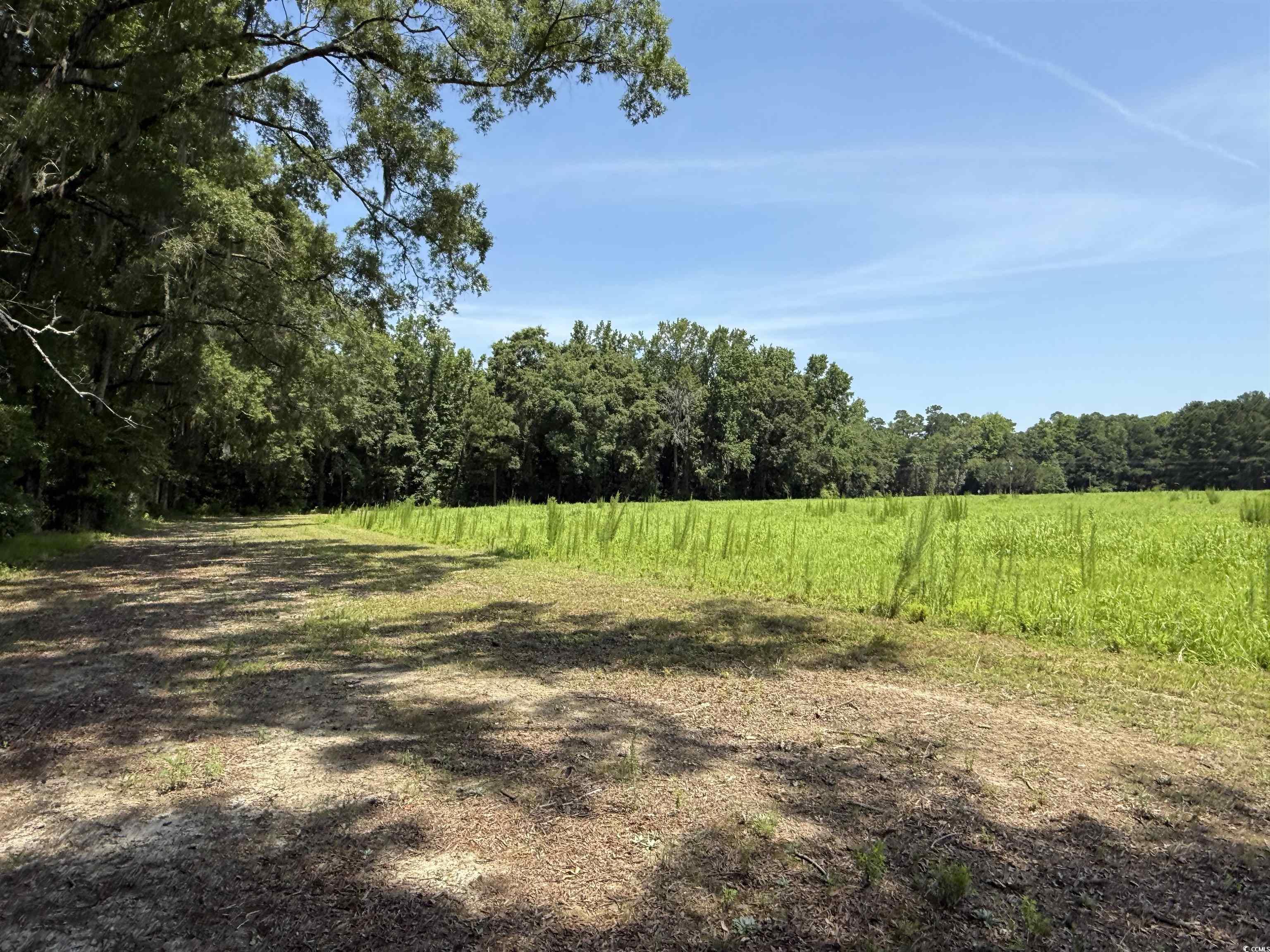 TBD Highway 668, Conway, South Carolina image 3