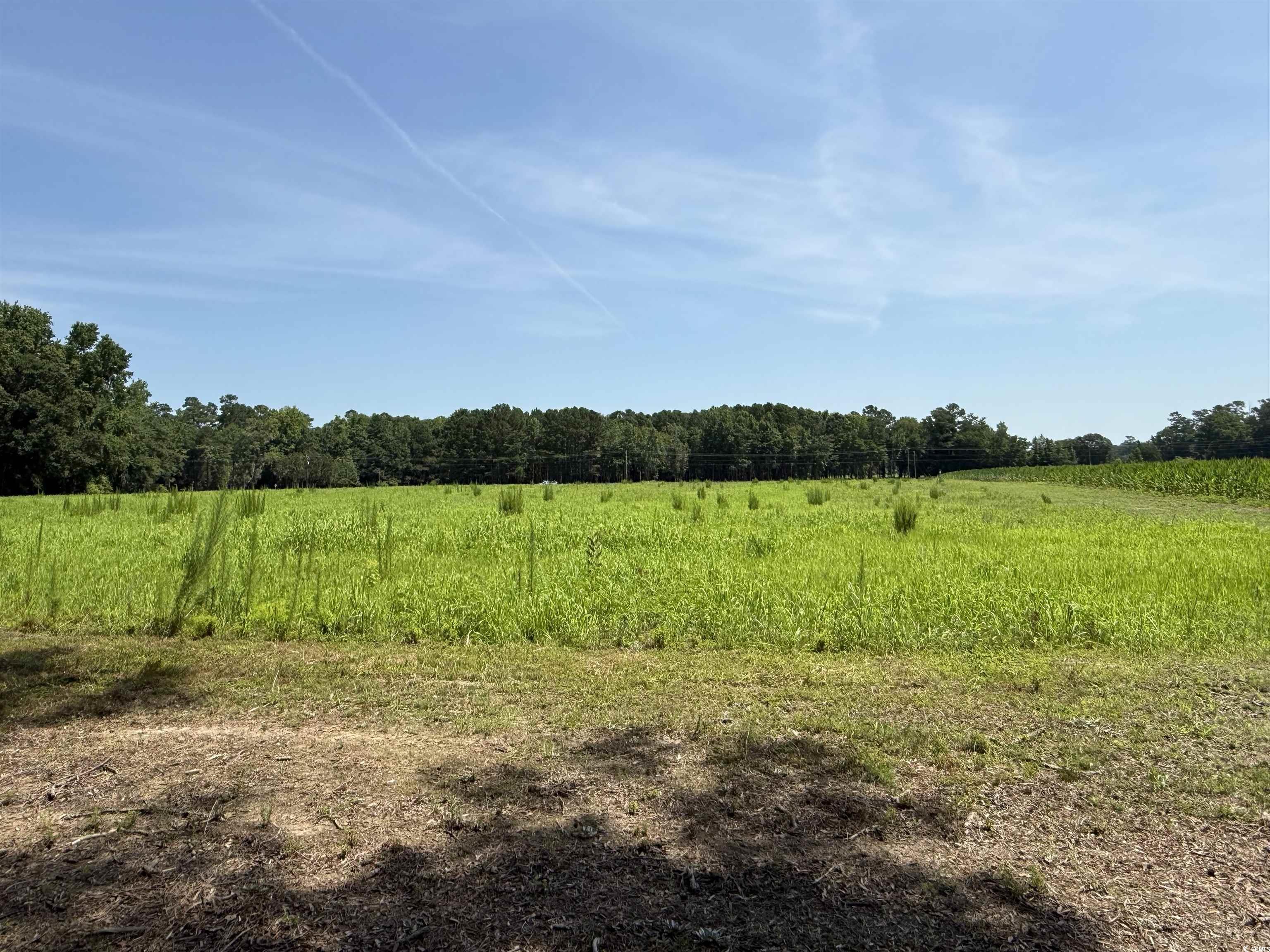 TBD Highway 668, Conway, South Carolina image 4