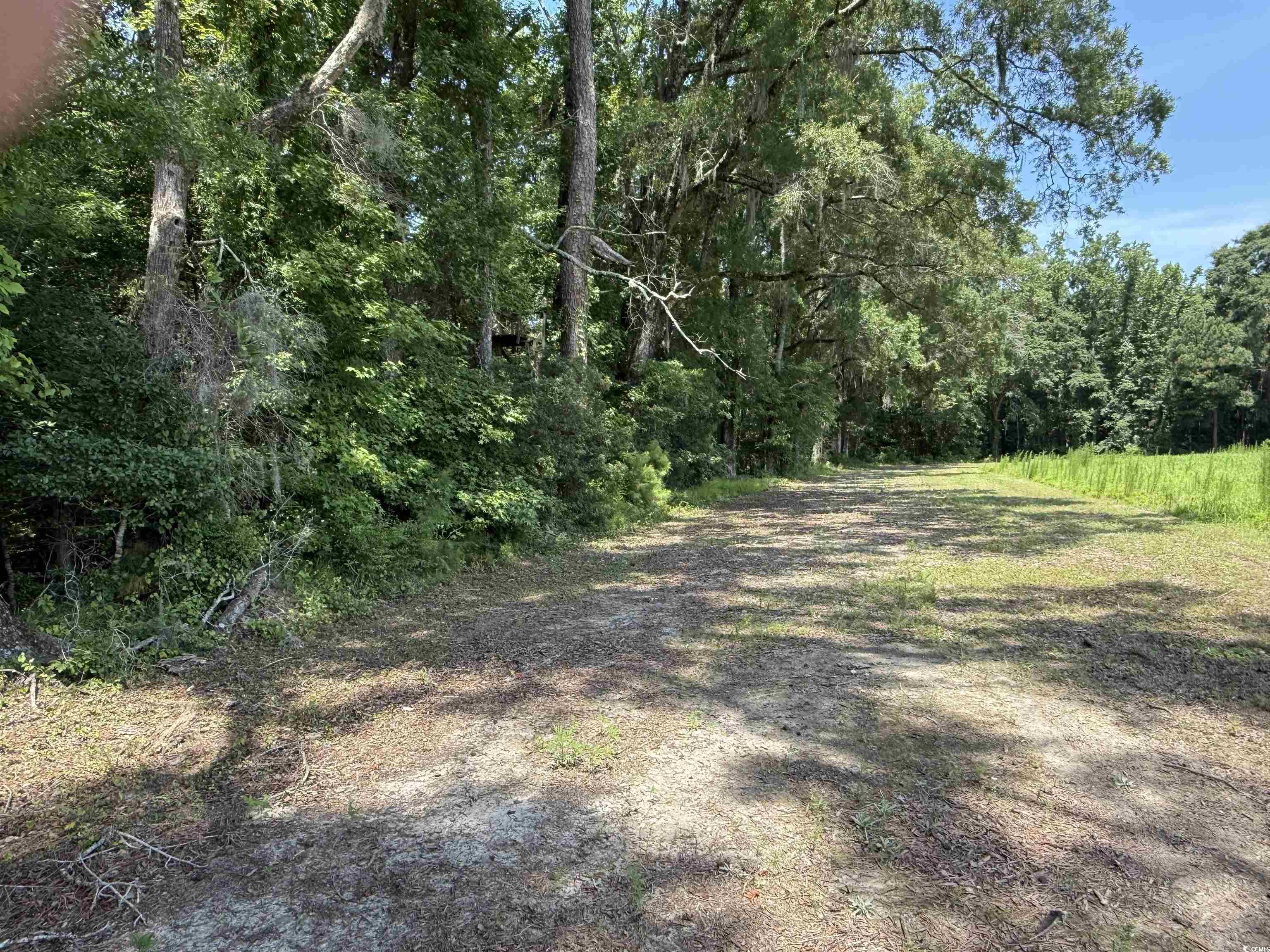 TBD Highway 668, Conway, South Carolina image 6