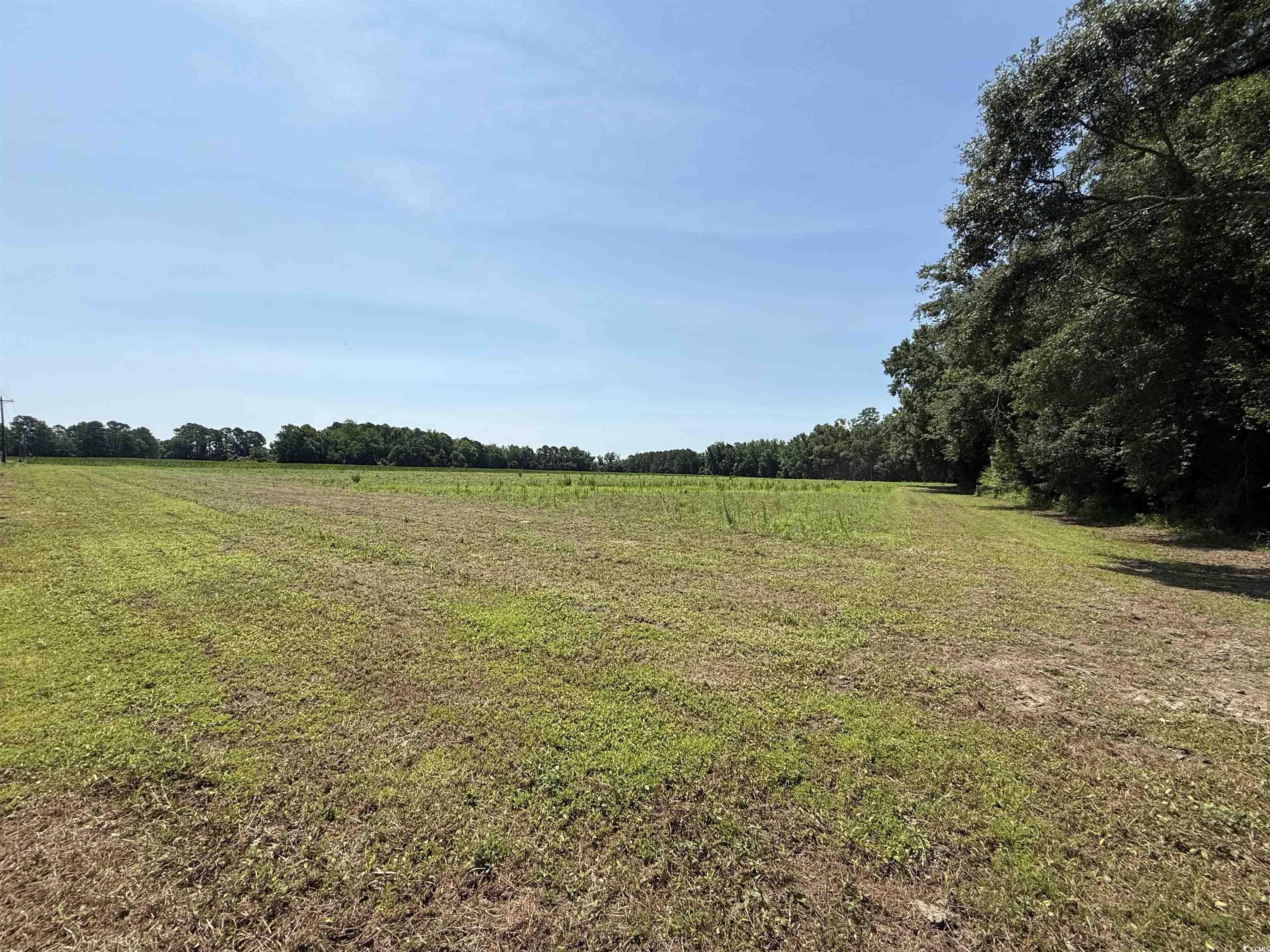 TBD Highway 668, Conway, South Carolina image 7