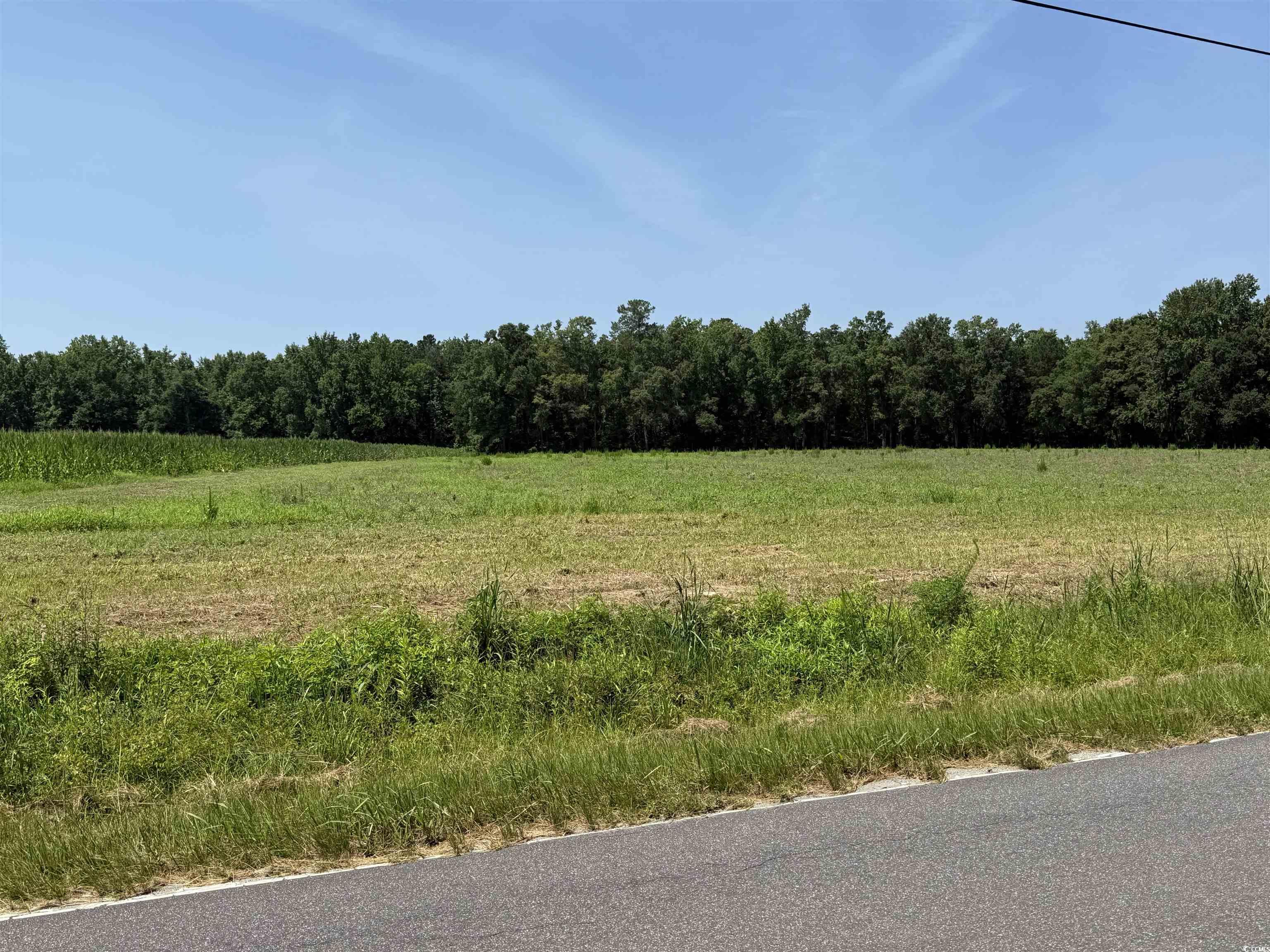 TBD Highway 668, Conway, South Carolina image 8