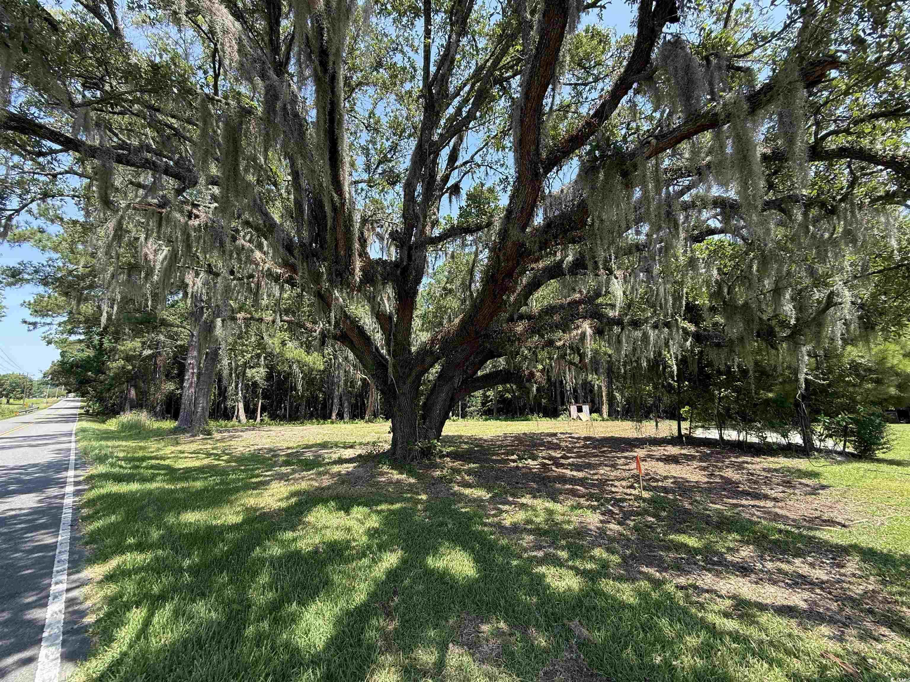 Lot 2 Highway 668, Conway, South Carolina image 3