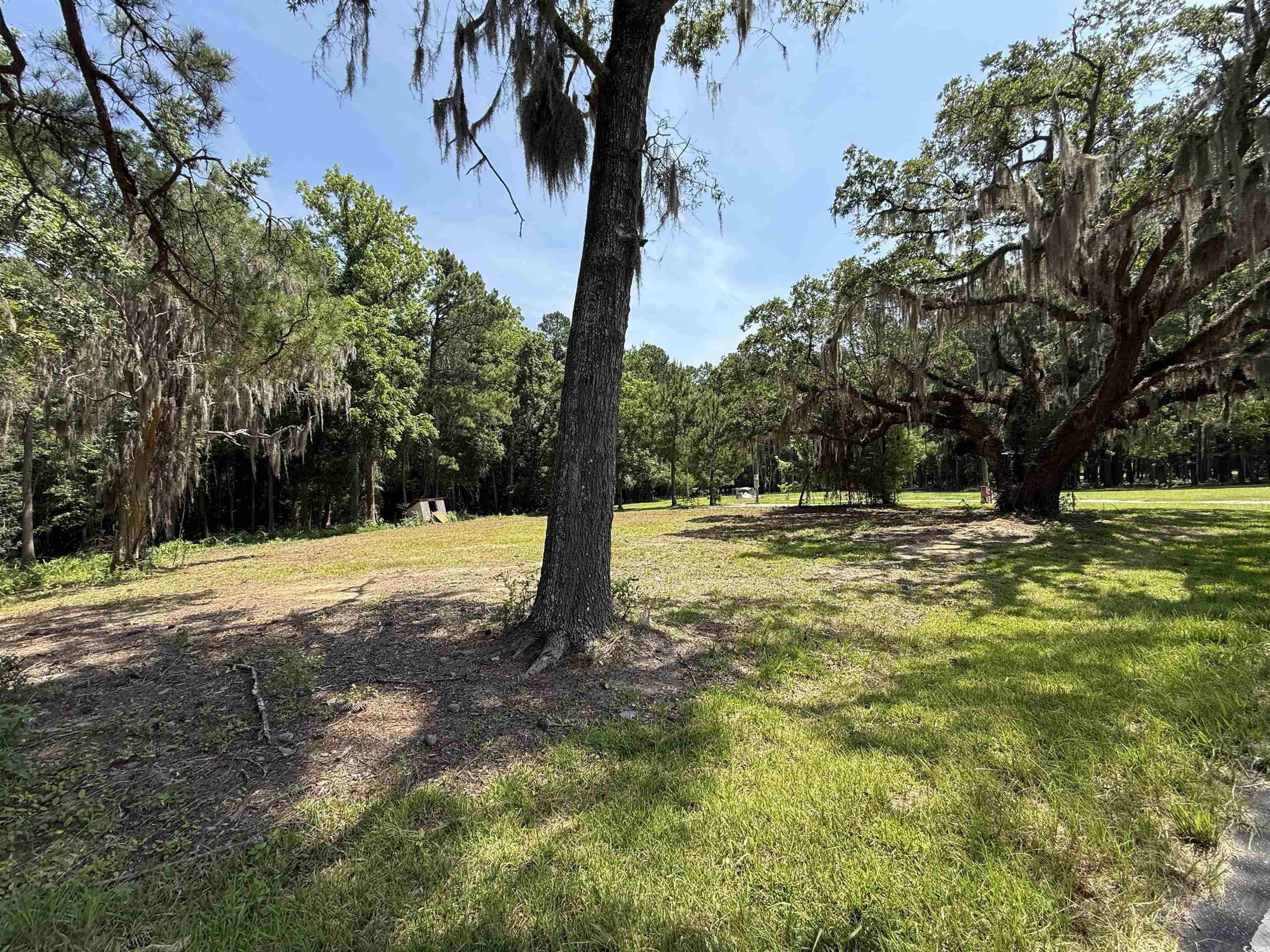 Lot 2 Highway 668, Conway, South Carolina image 5