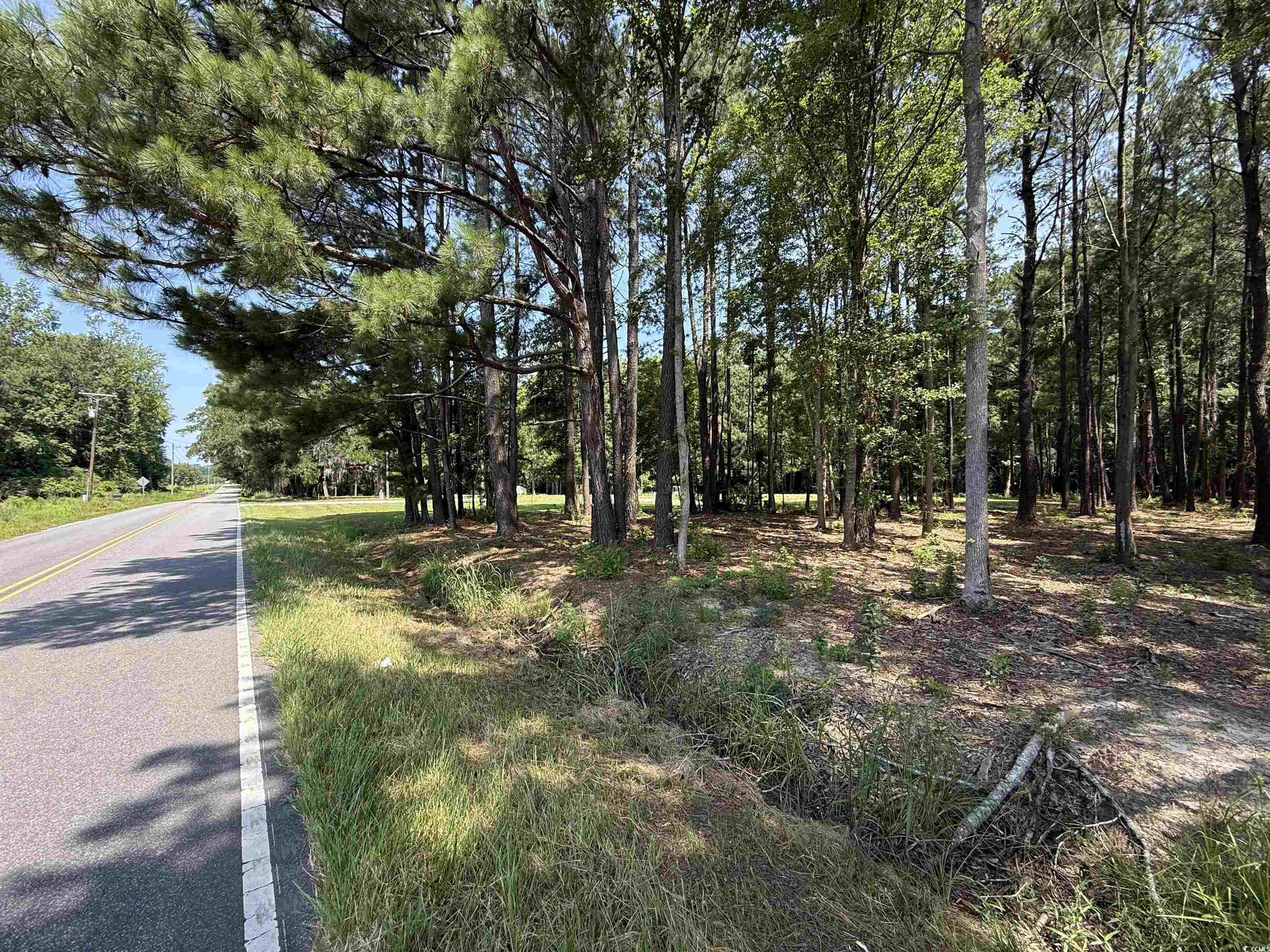 Lot 3 Highway 668, Conway, South Carolina image 3