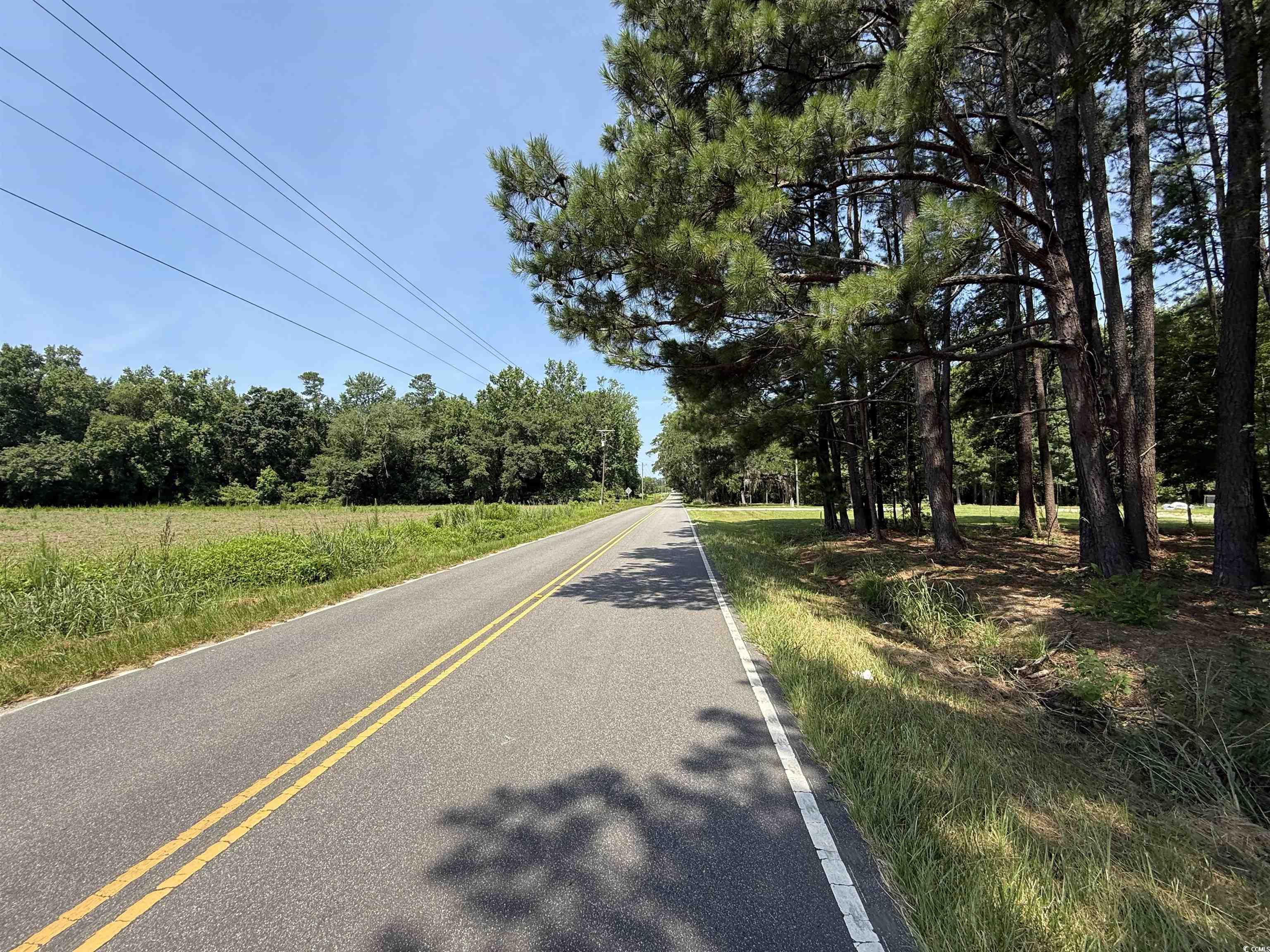 Lot 3 Highway 668, Conway, South Carolina image 5