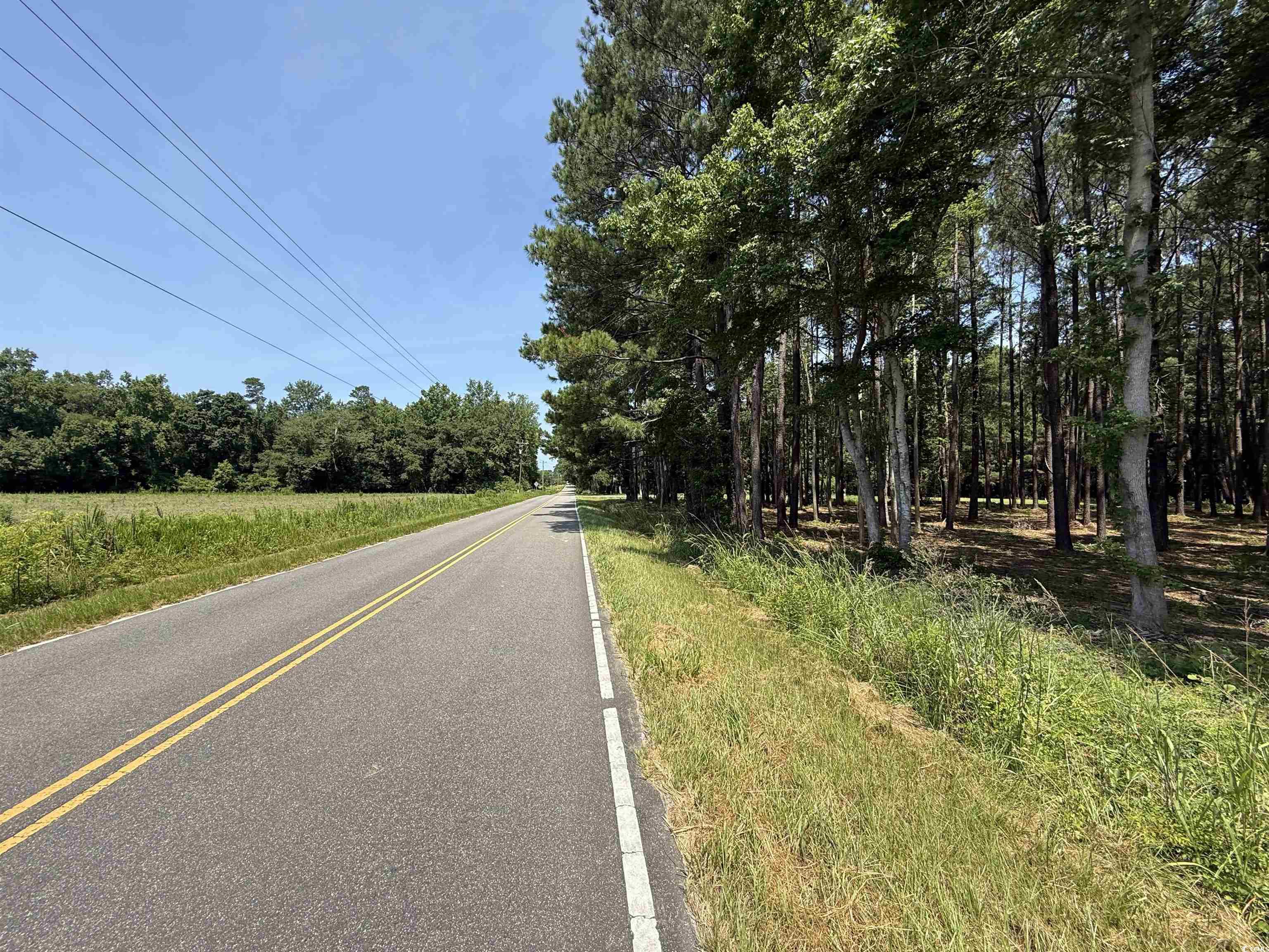 Lot 4 Highway 668, Conway, South Carolina image 4