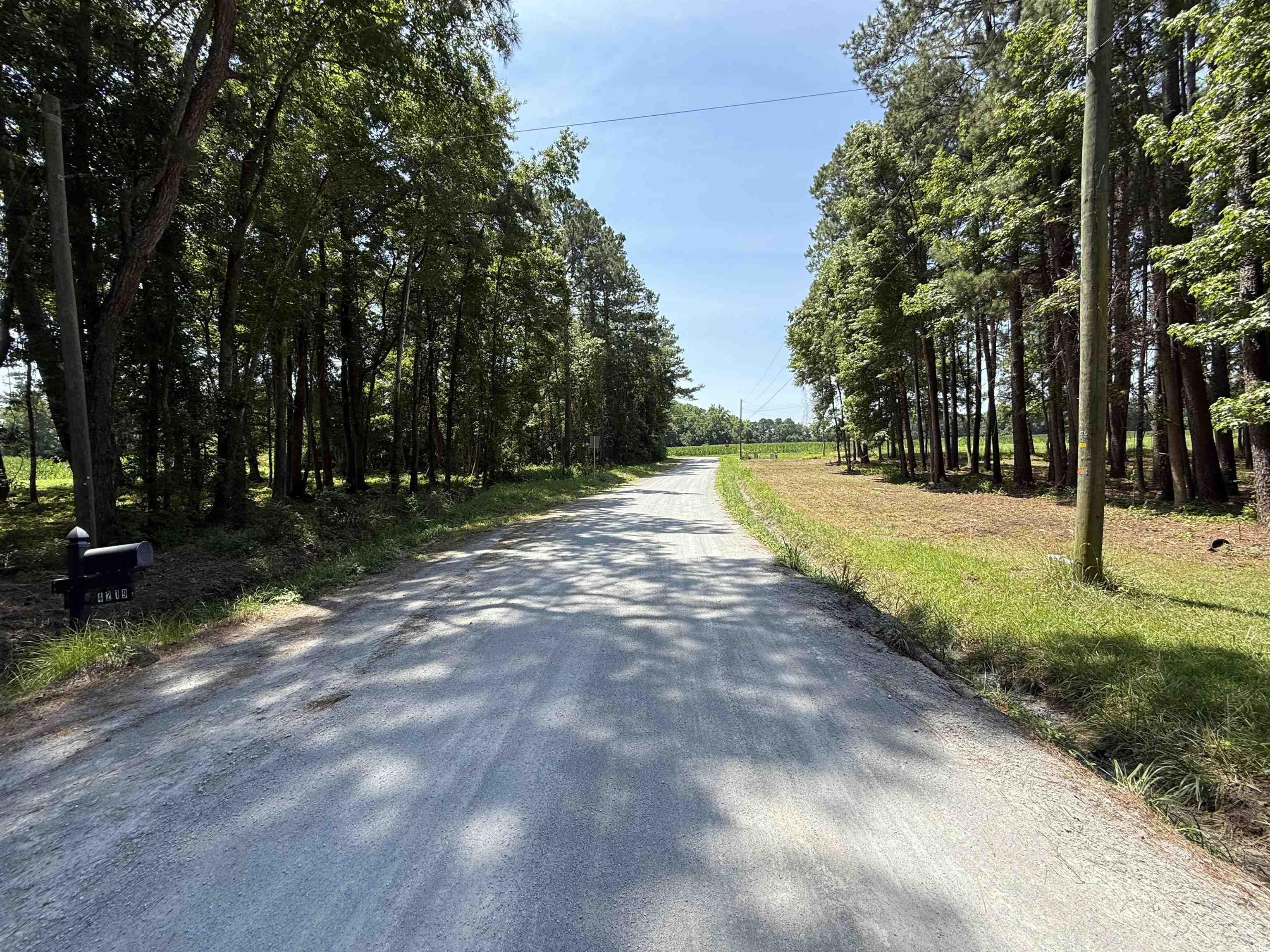 Lot 6 Johnson Shelley Rd. Conway, SC 29526