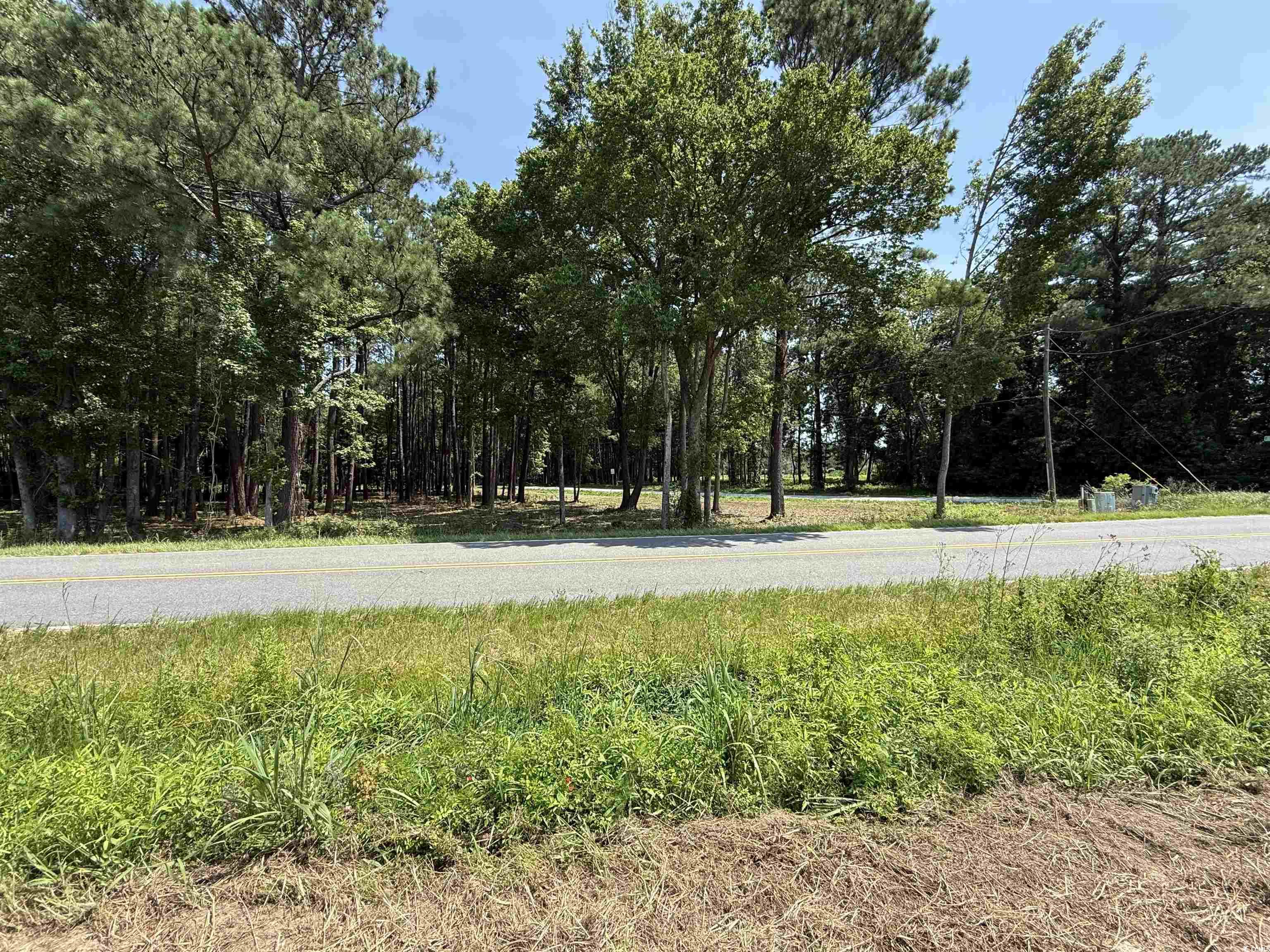 Lot 6 Johnson Shelley Rd., Conway, South Carolina image 1