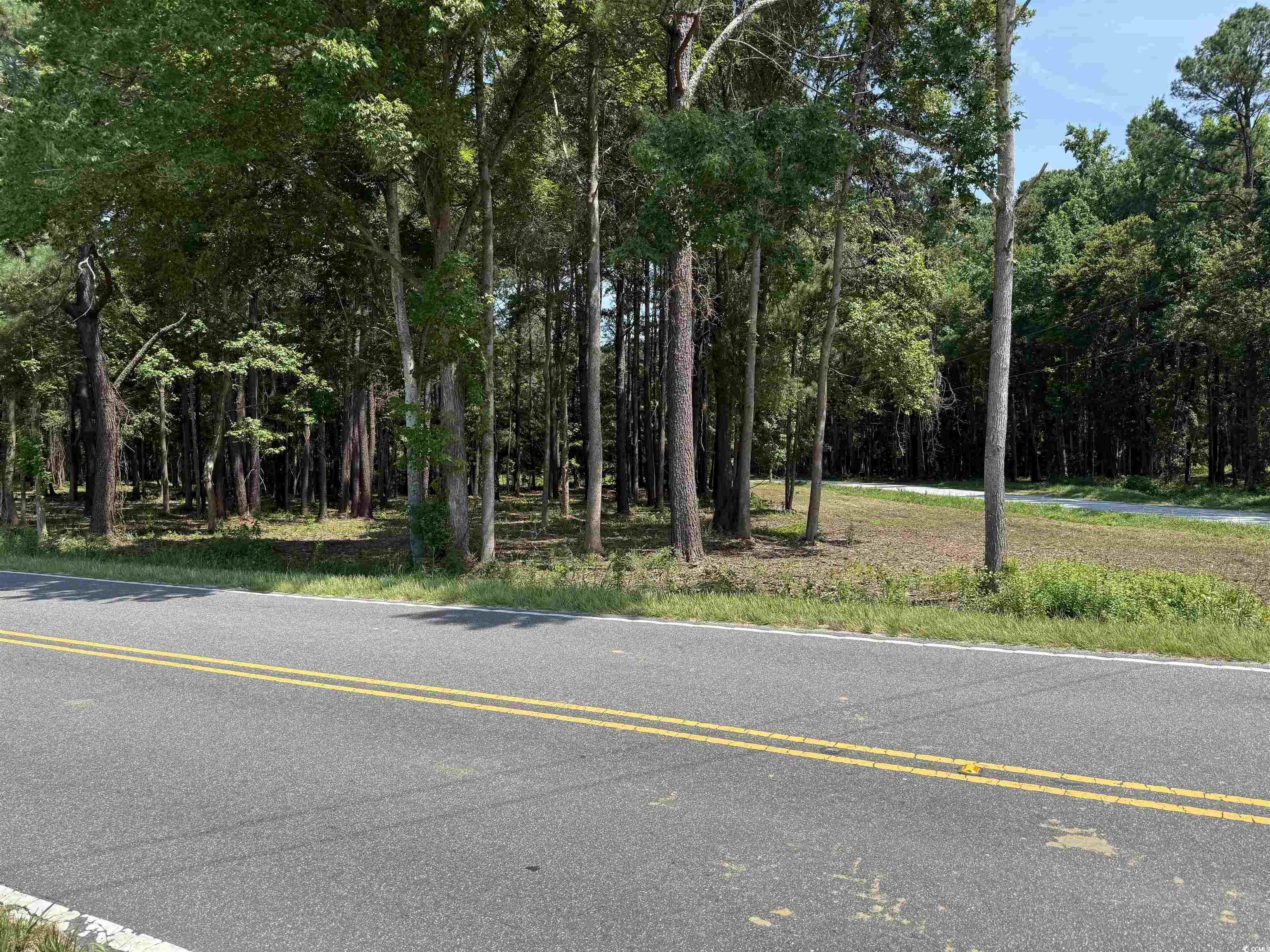 Lot 6 Johnson Shelley Rd., Conway, South Carolina image 3